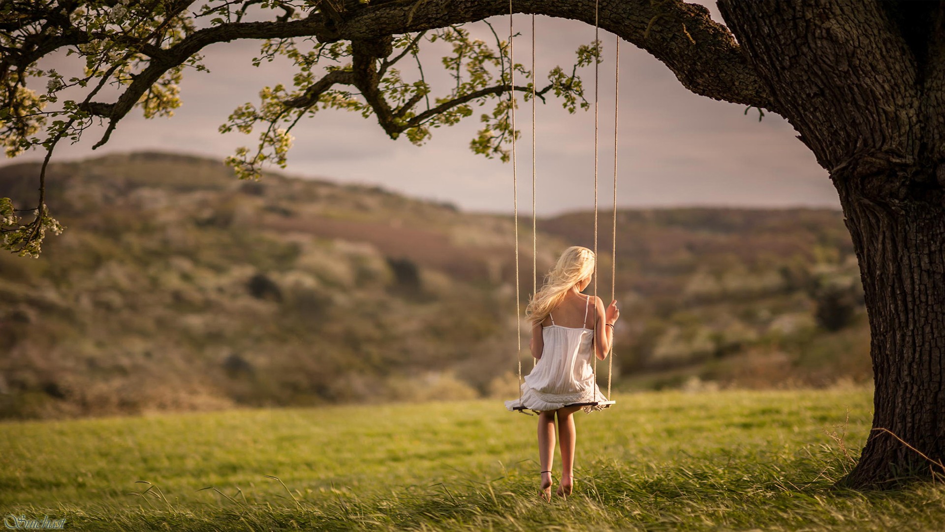 Looking Away Alone Trees White Grass Model Barefoot White Dress Solice Windy 1920x1080