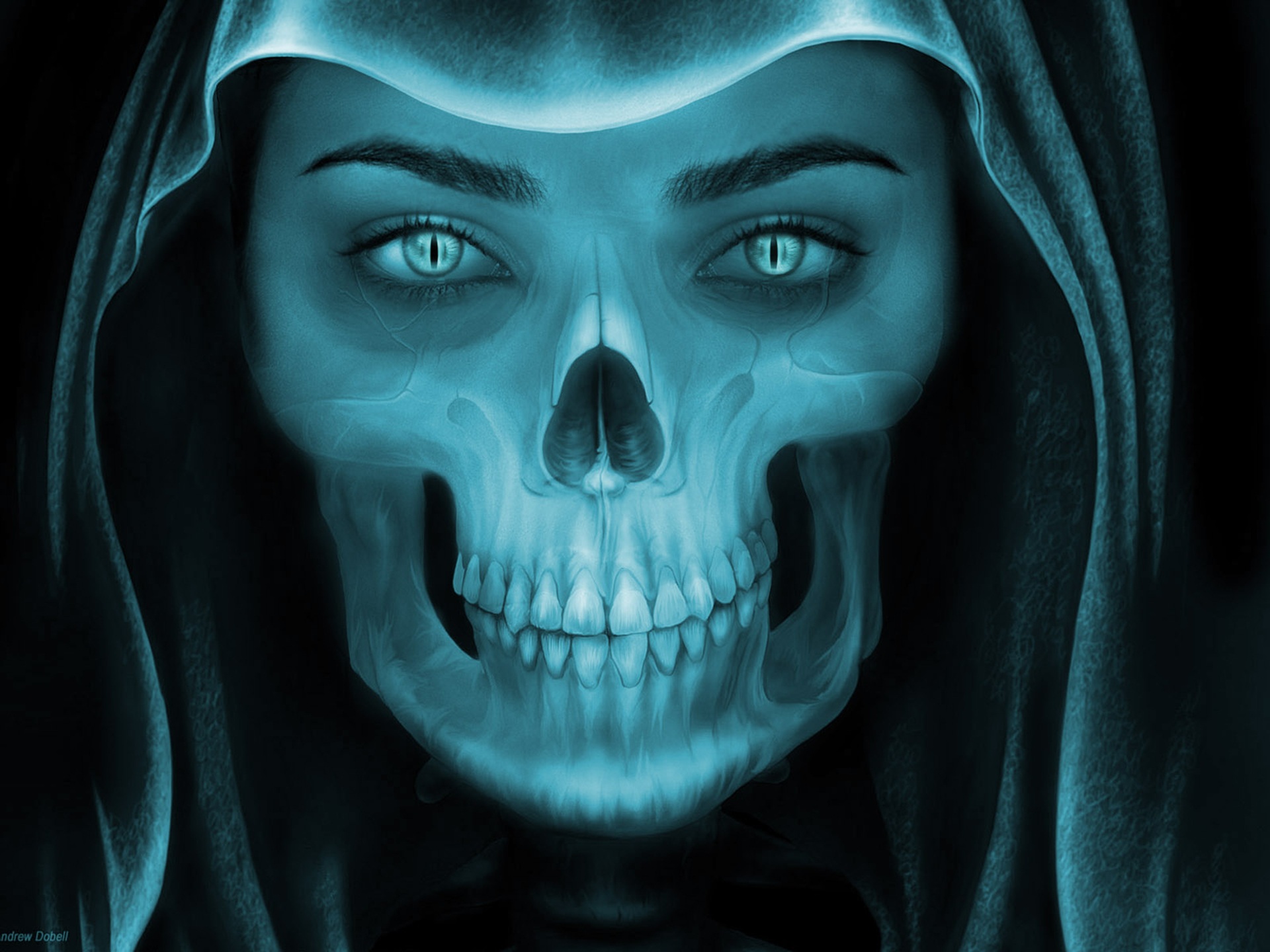 Skull Dark Blue Artistic X Ray 1920x1440
