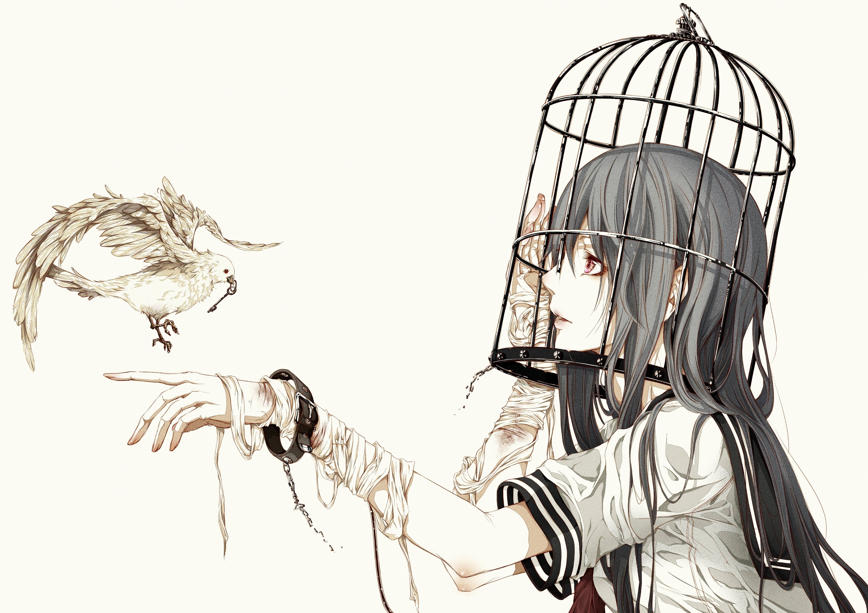 Anime Girls Anime Birdcage Birds Keys Animals Dark Hair 3500x2474