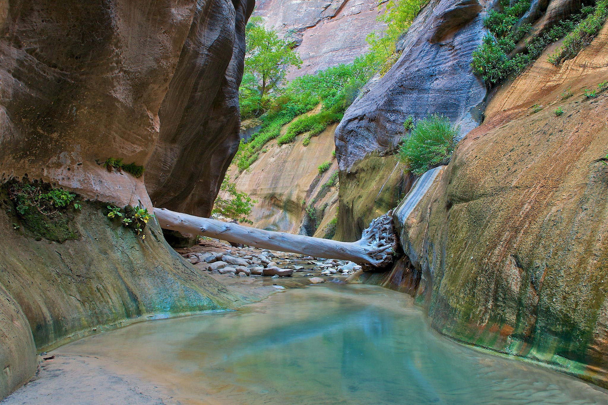 Landscape Nature Zion National Park 2048x1365