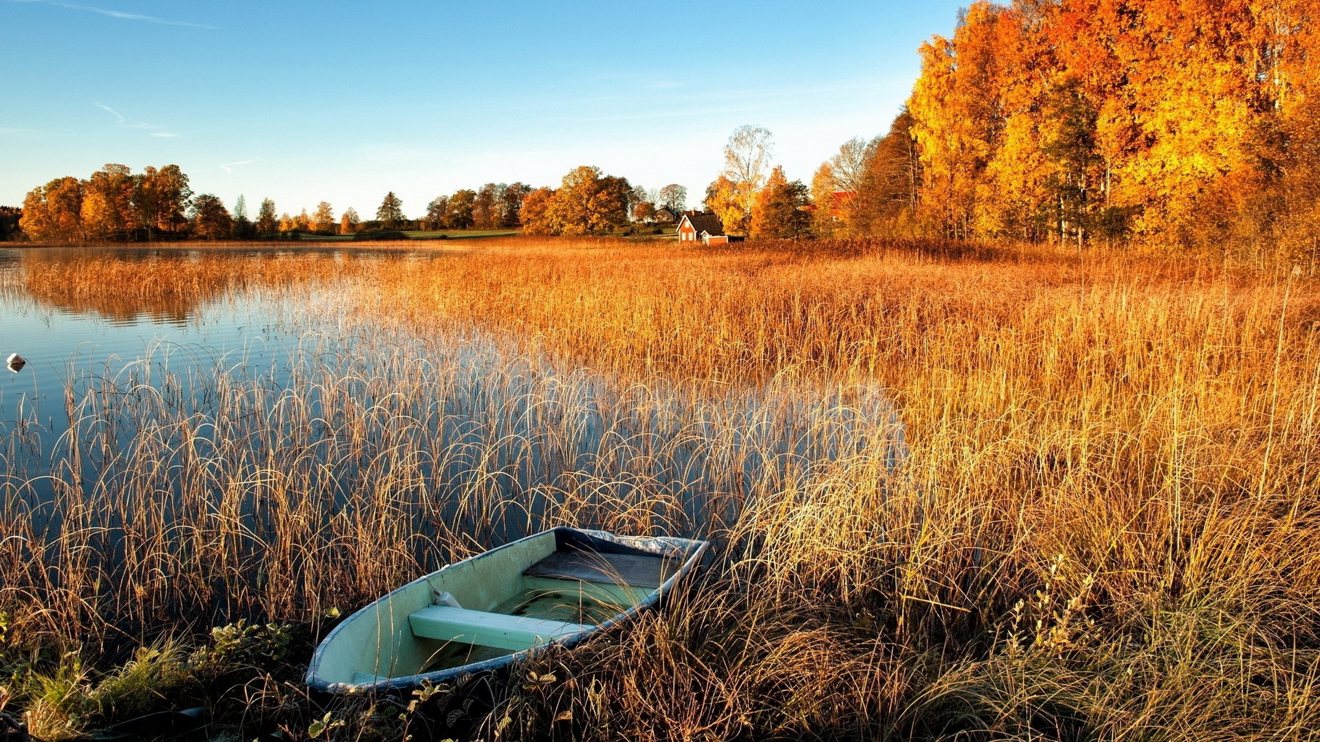 Rowboat Water Fall Landscape Abandoned Boat Reeds Lake 1920x1080