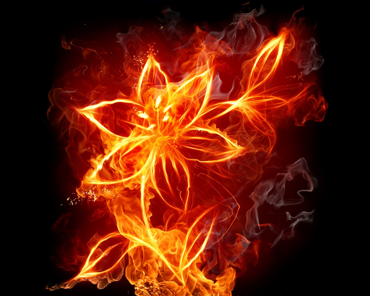 Flowers Fire Flame Painter Digital Art Digital Painting 1280x1024
