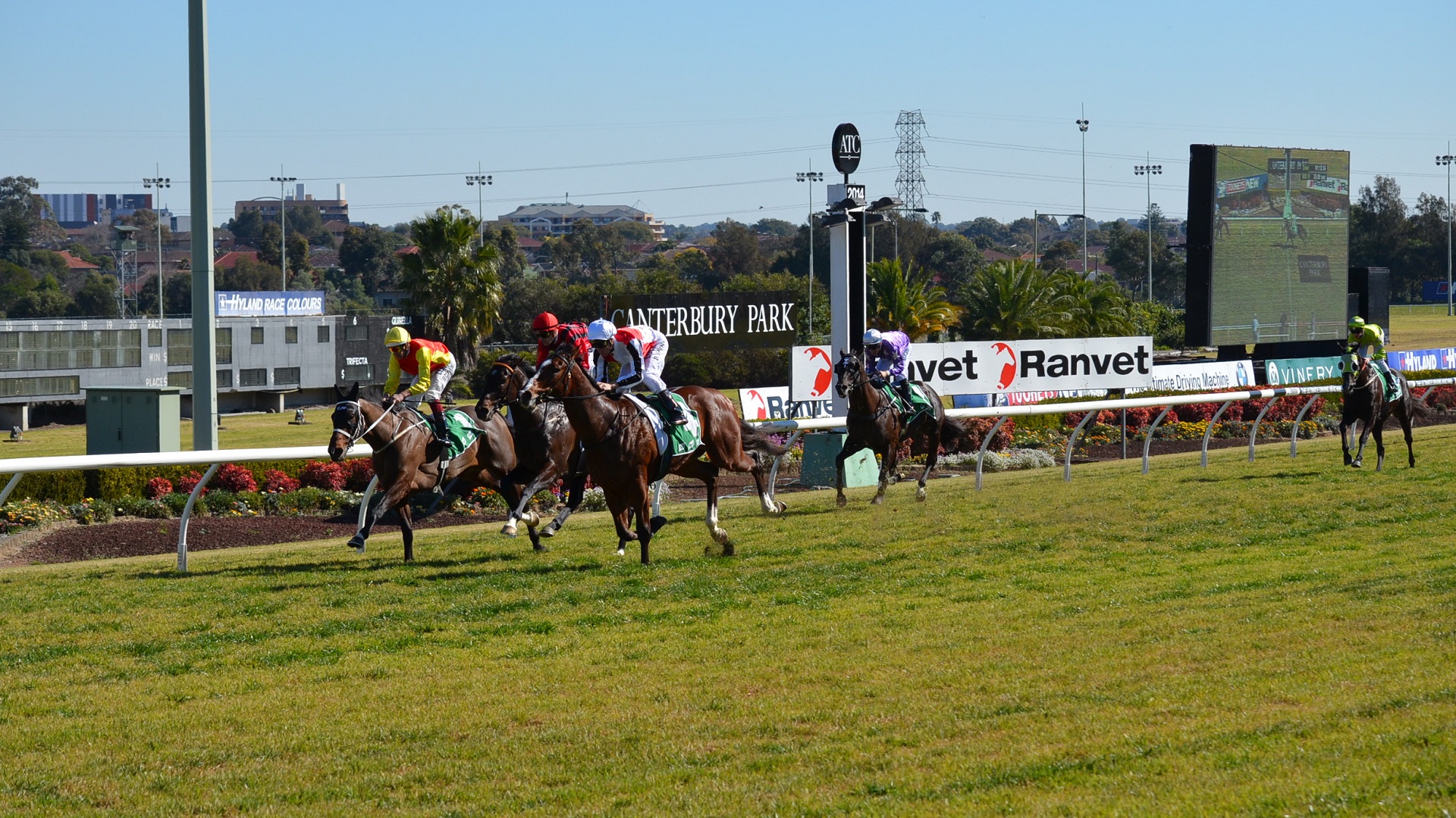 Animal Horse Race Racing Horse Racing Jockey Photography Races 1920x1080