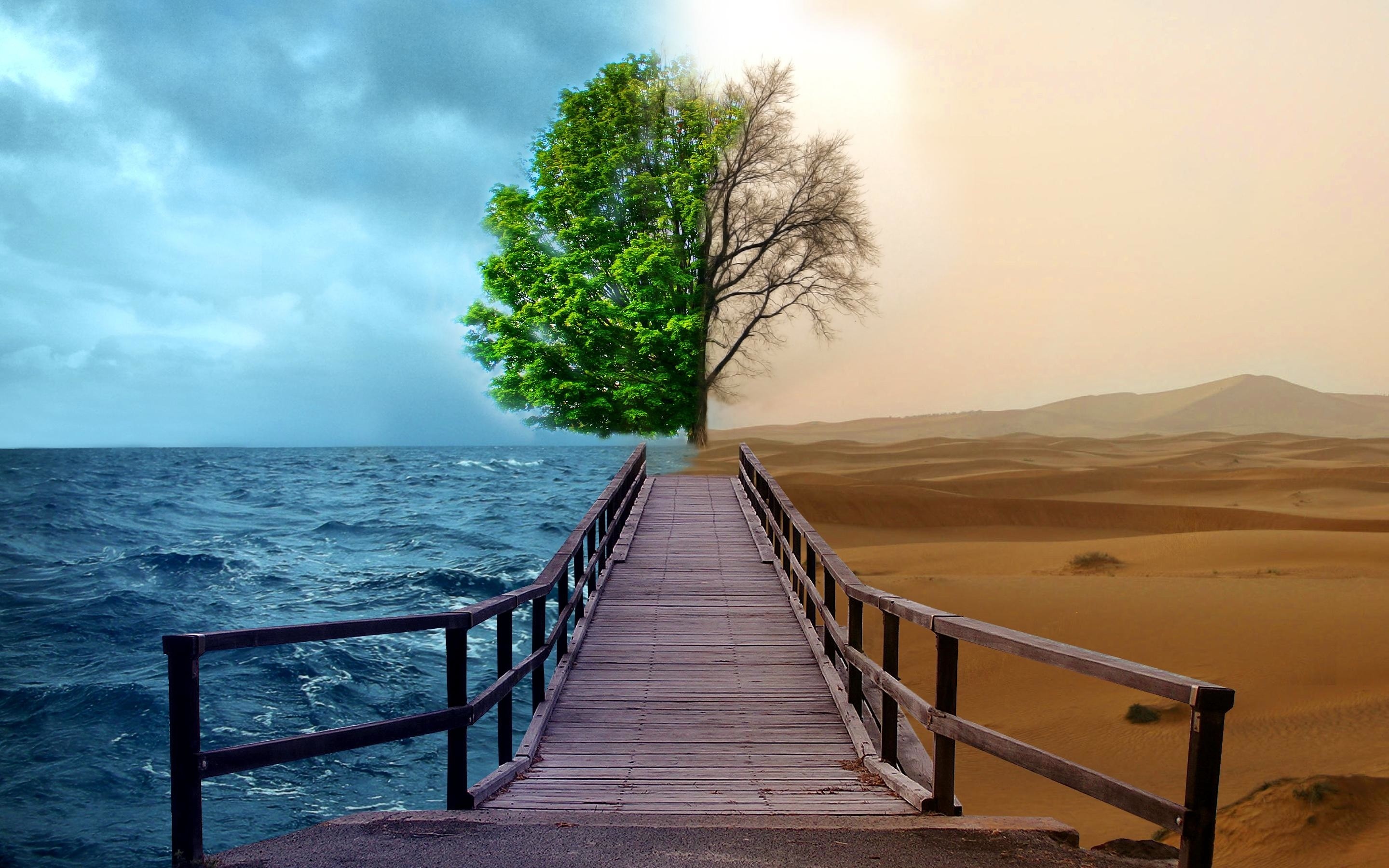 Desert Sea Trees Pier Splitting Digital Art Nature 2880x1800