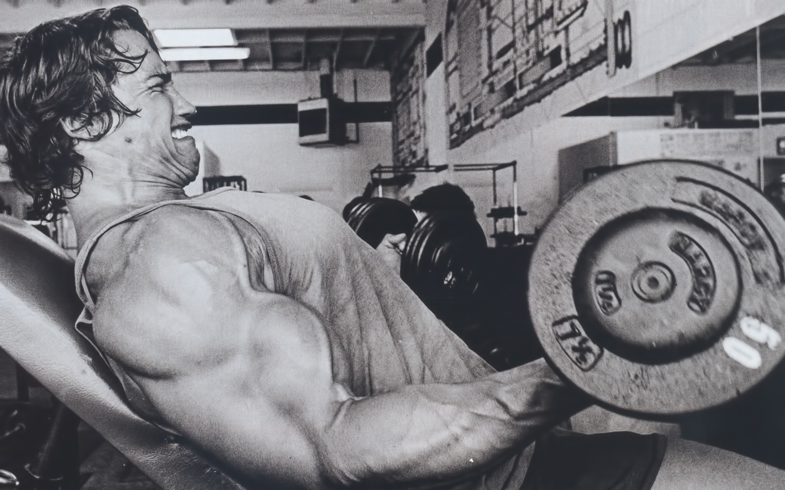 Arnold Schwarzenegger Working Out Bodybuilder Weightlifting 2560x1600