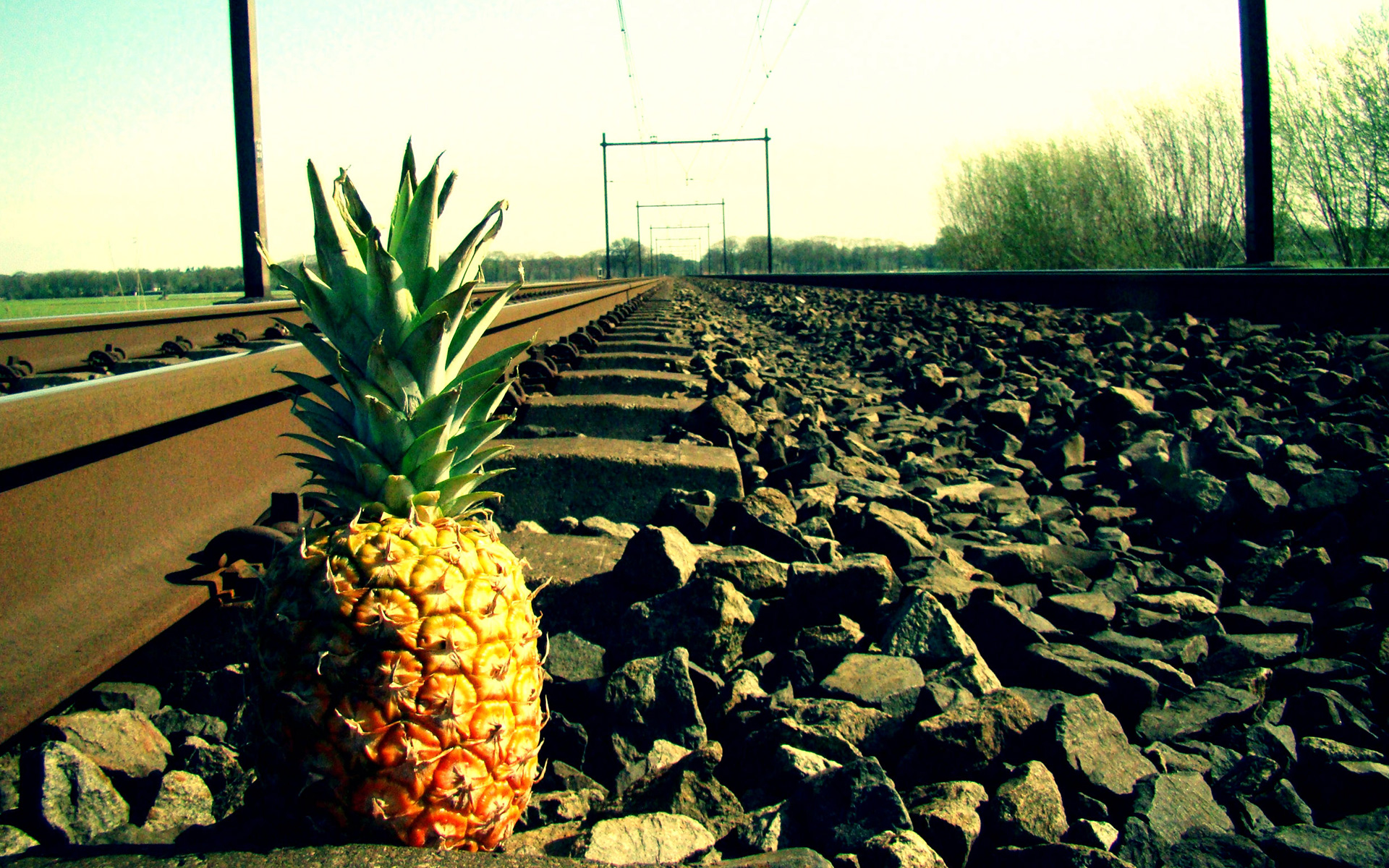 Pineapples Railway Fruit Stones Food Metal Green Outdoors 1920x1200