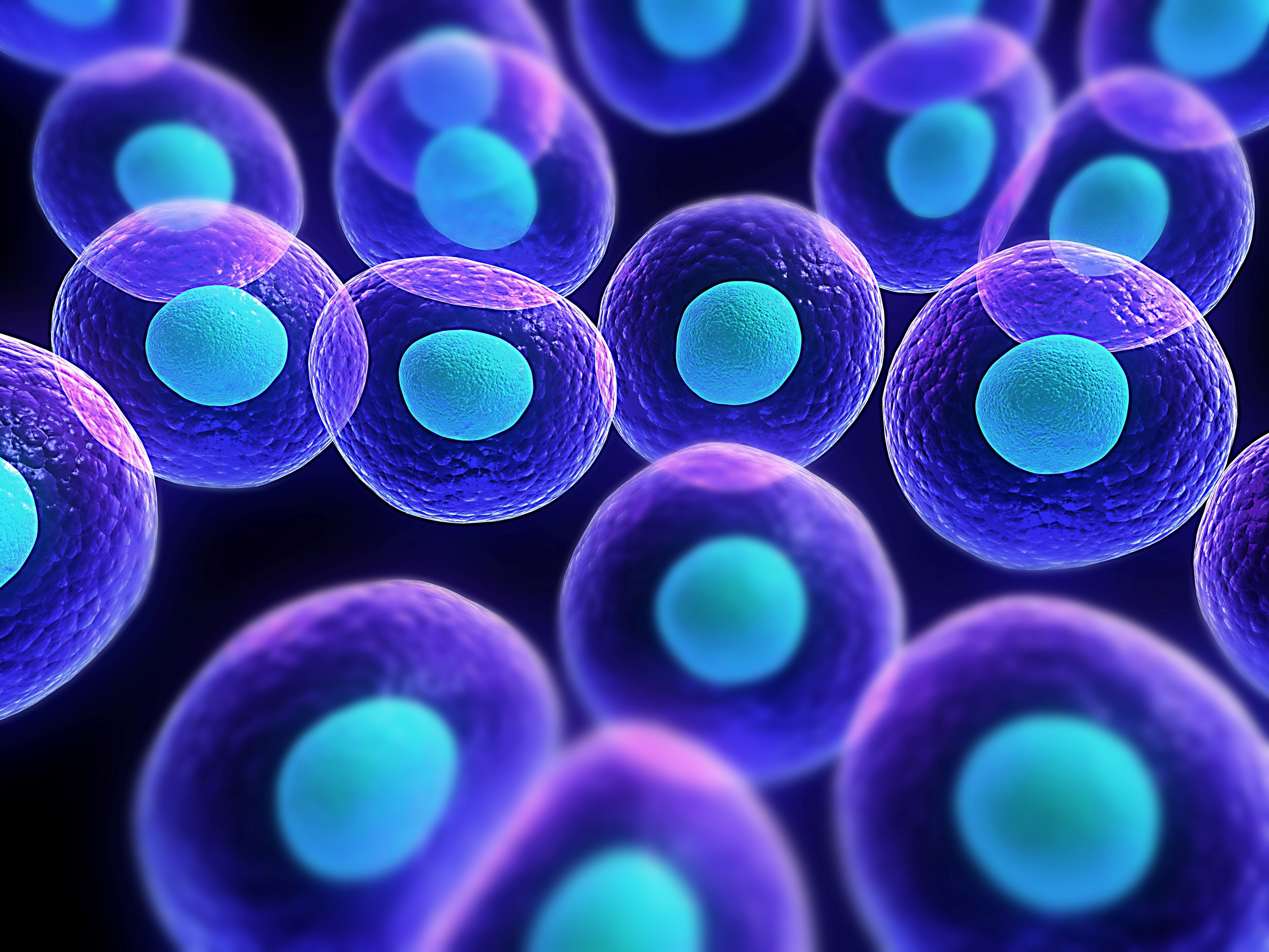 Cells Biology Science Blue 3645x2734