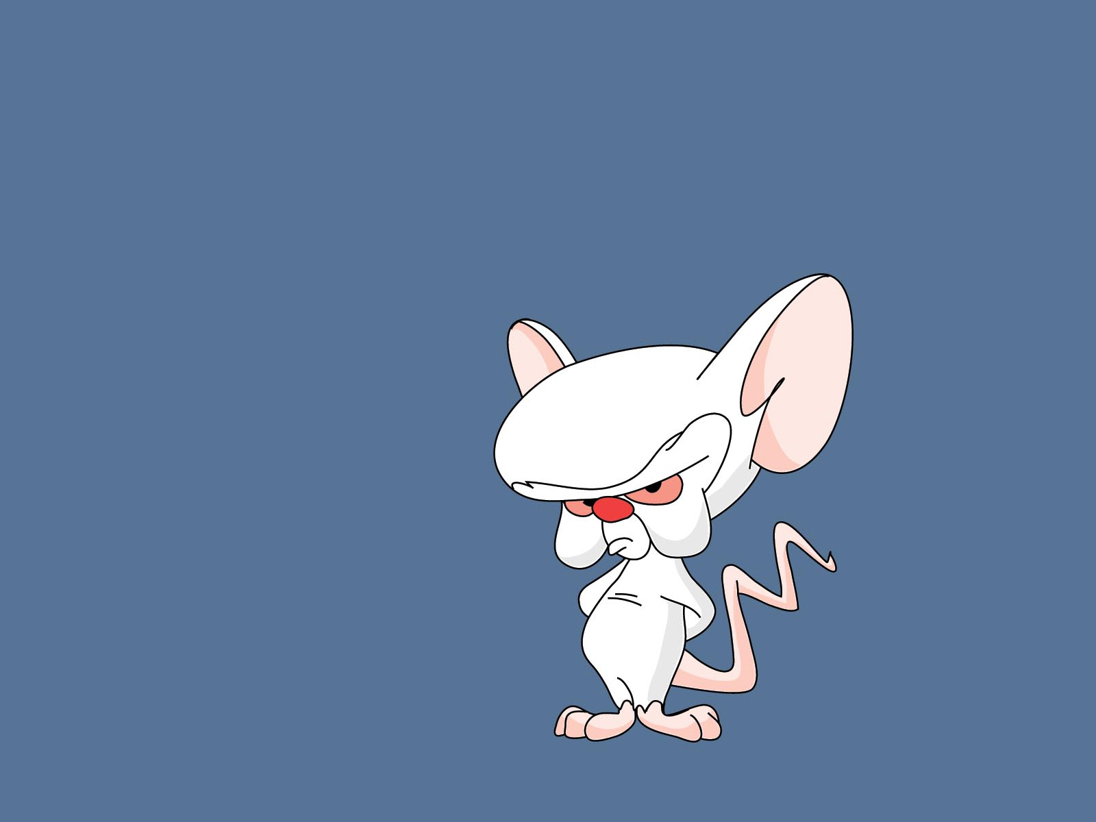 TV Show Pinky And The Brain 1600x1200