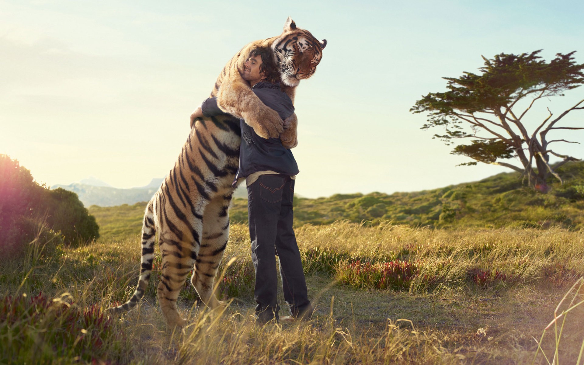 Men Tiger Sunlight Animals Hugging Guys Nature 1920x1200