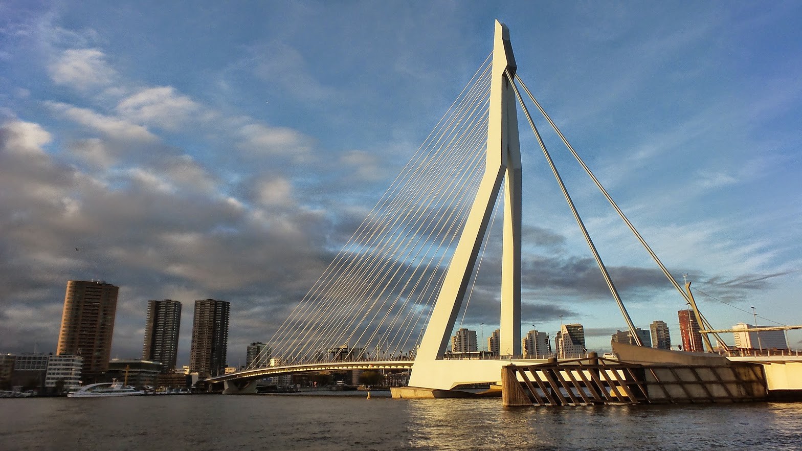 Bridge City Rotterdam Cityscape Erasmusbrug 1568x882