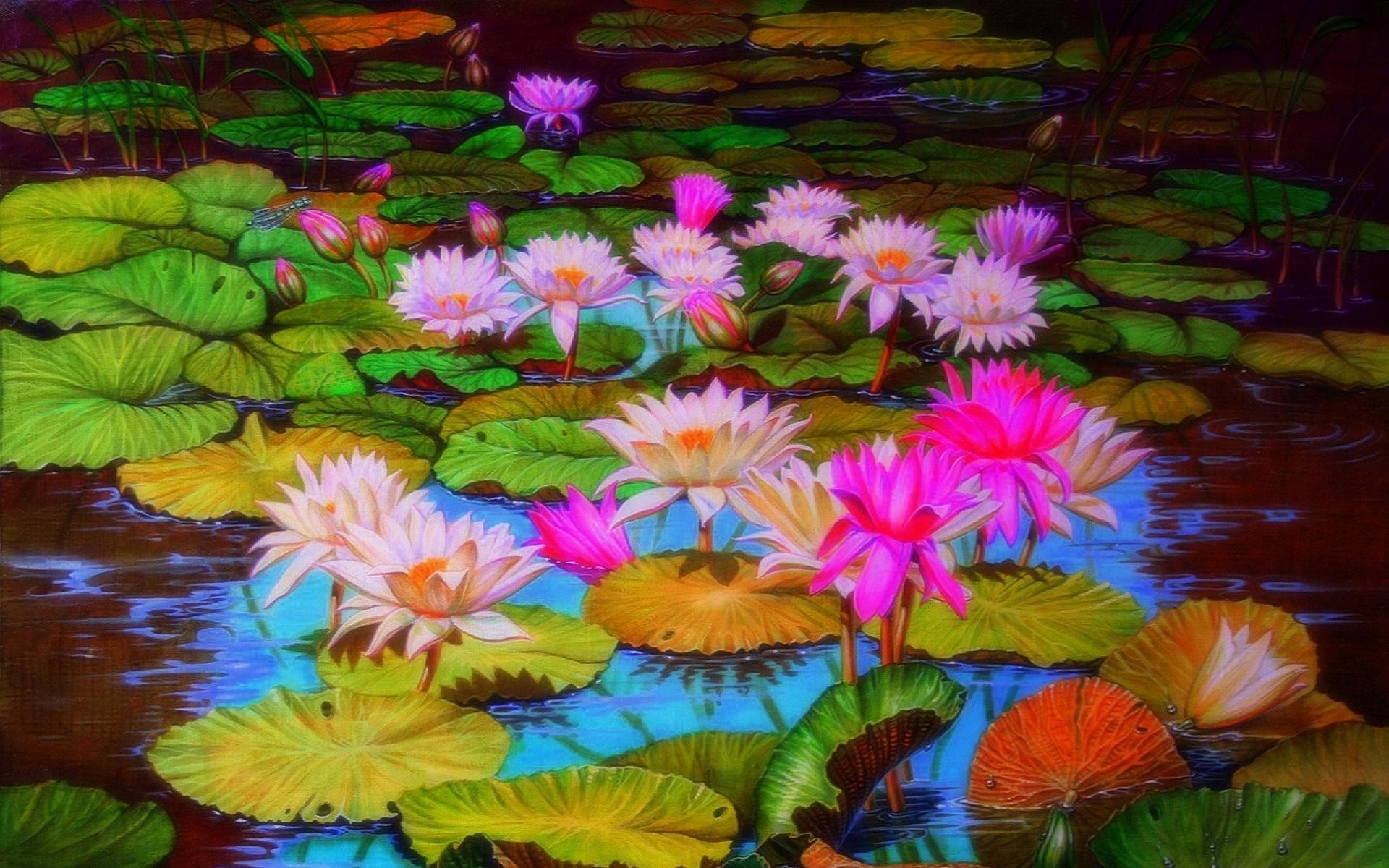 Earth Pond Flower Lotus Lily Pad Dragonfly 1920x1200