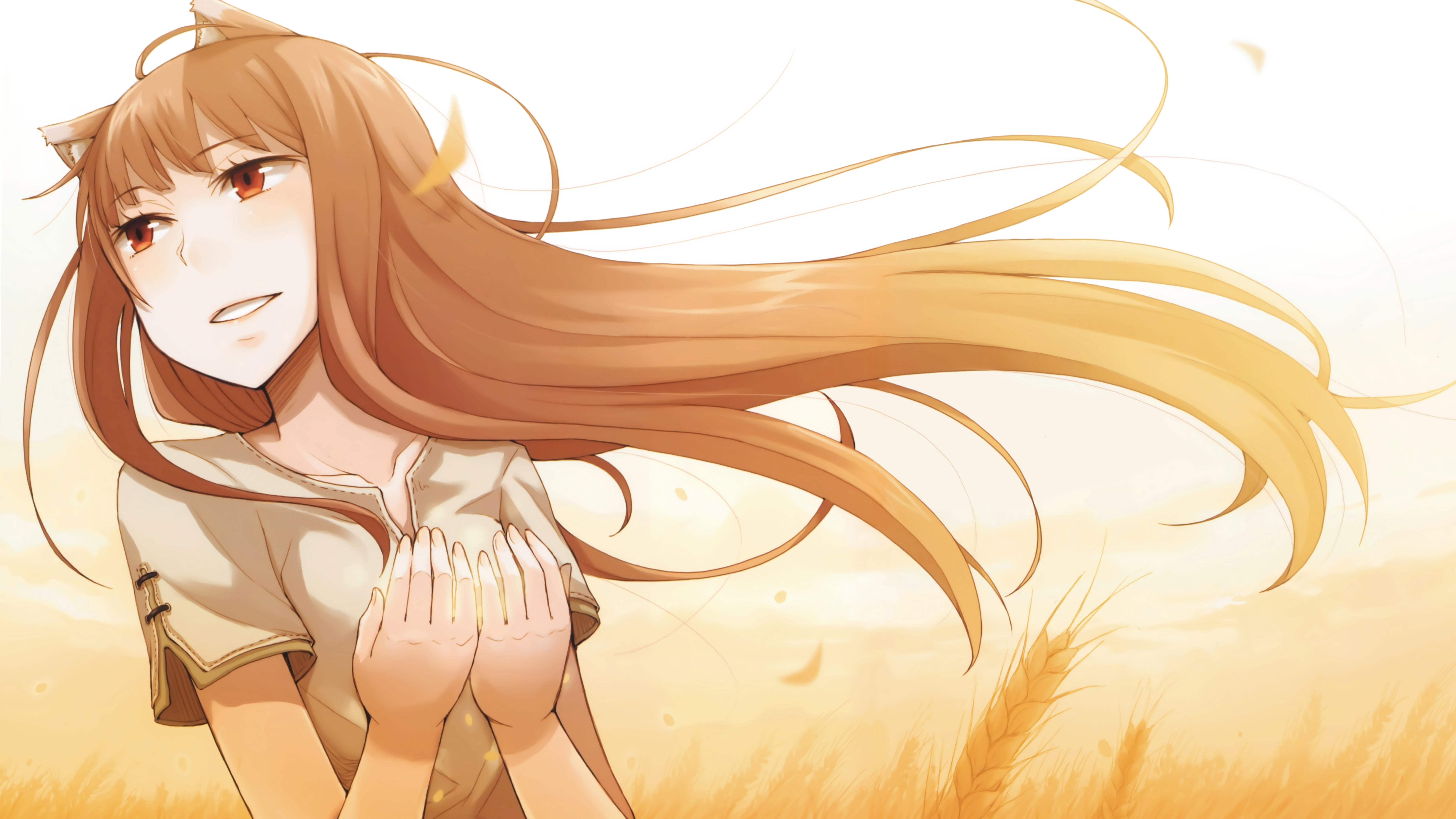 Spice And Wolf Holo Okamimimi 8019x4510