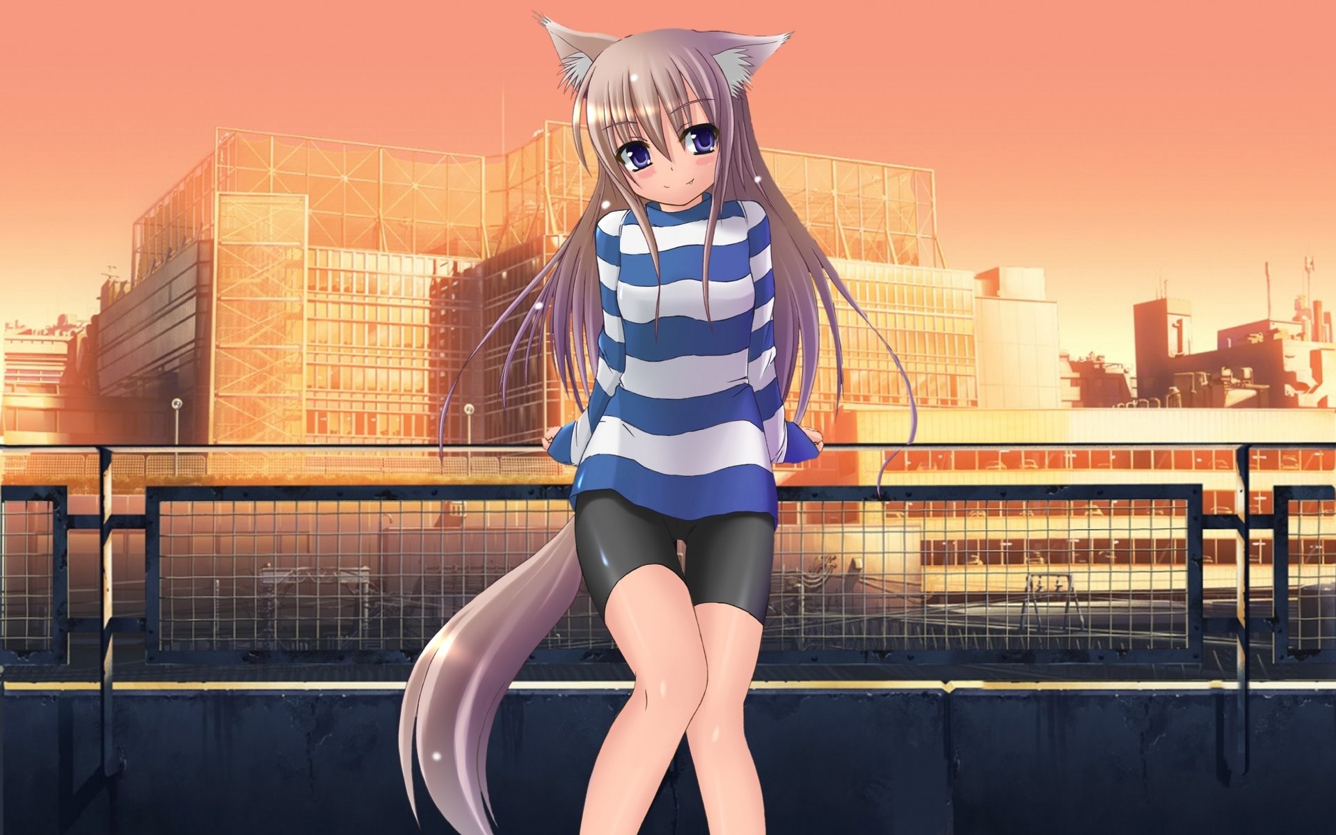 Anime Anime Anime Anime Girls Nekomimi Original Characters Spats 1920x1200