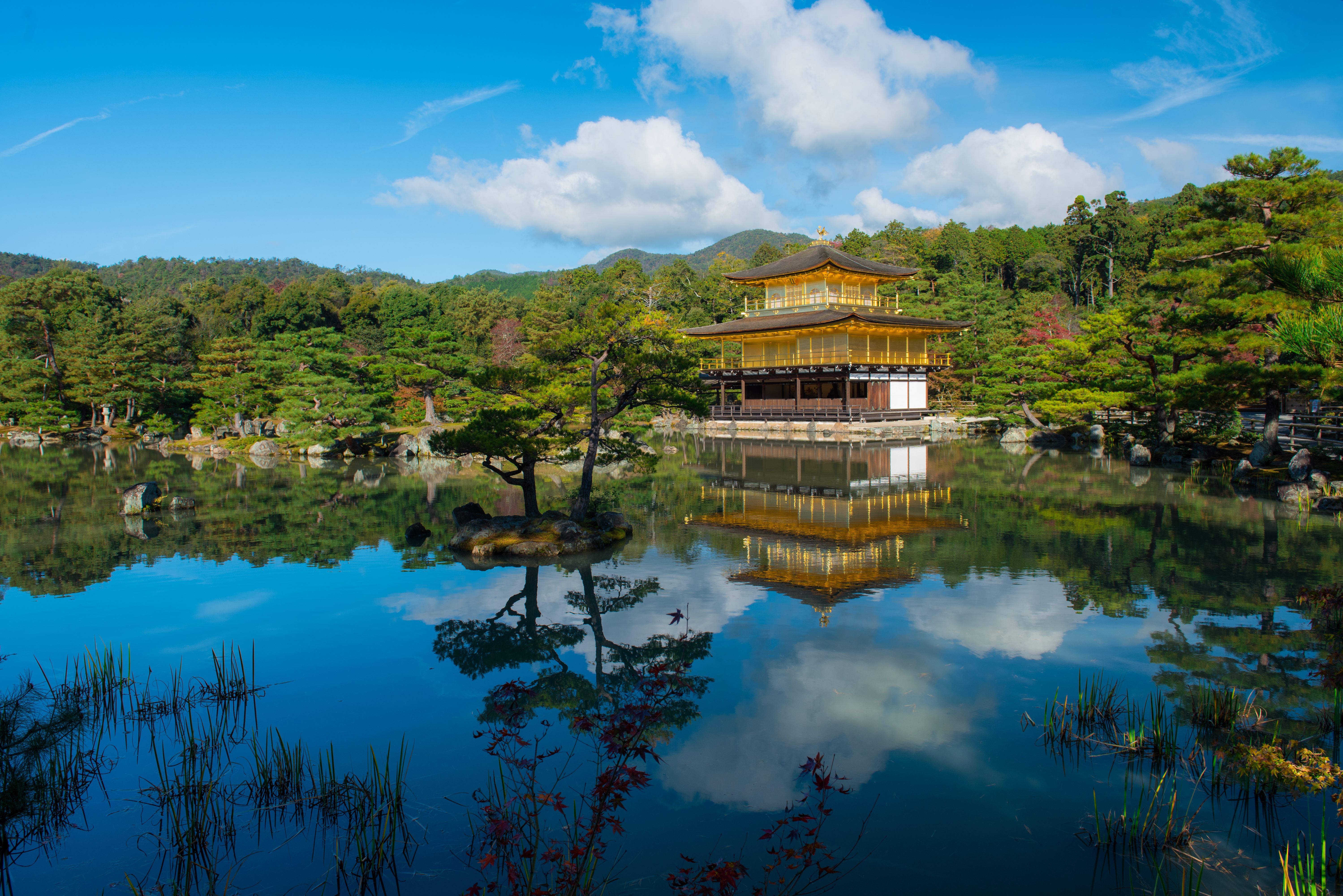 Kinkaku Ji Religious Buddhist Temple Kyoto Golden Temple Reflection Japan The Temple Of The Golden P 5996x4002