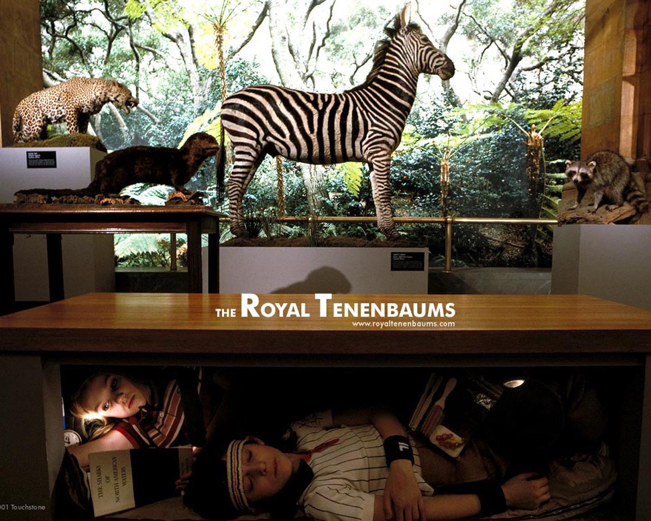 Movie The Royal Tenenbaums 1280x1024
