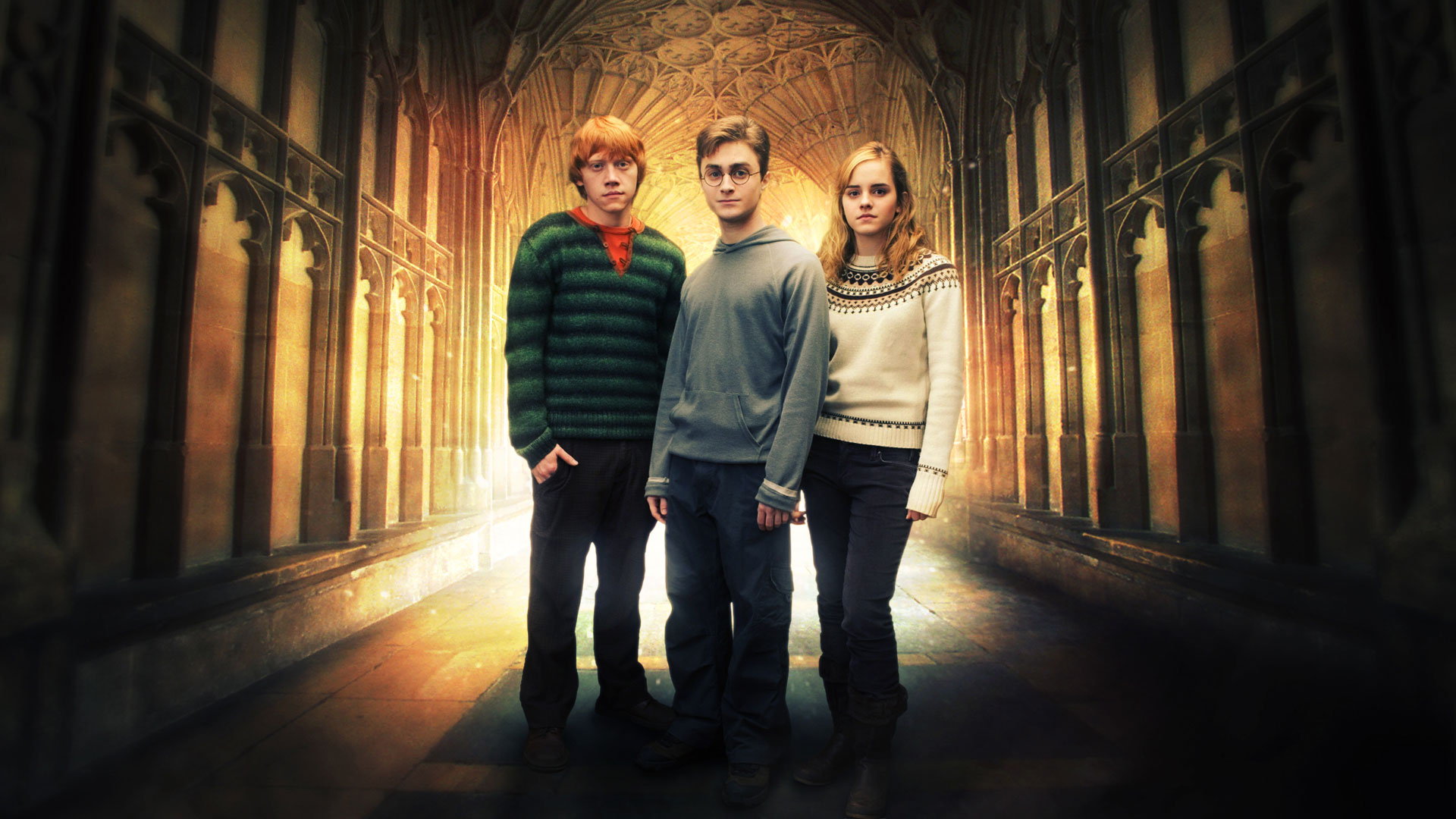 Harry Potter Hermione Granger Ron Weasley Wallpaper - Resolution:1920x1080  - ID:20919 