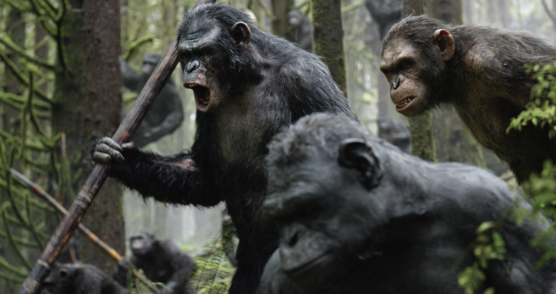Movie Dawn Of The Planet Of The Apes 2200x1164