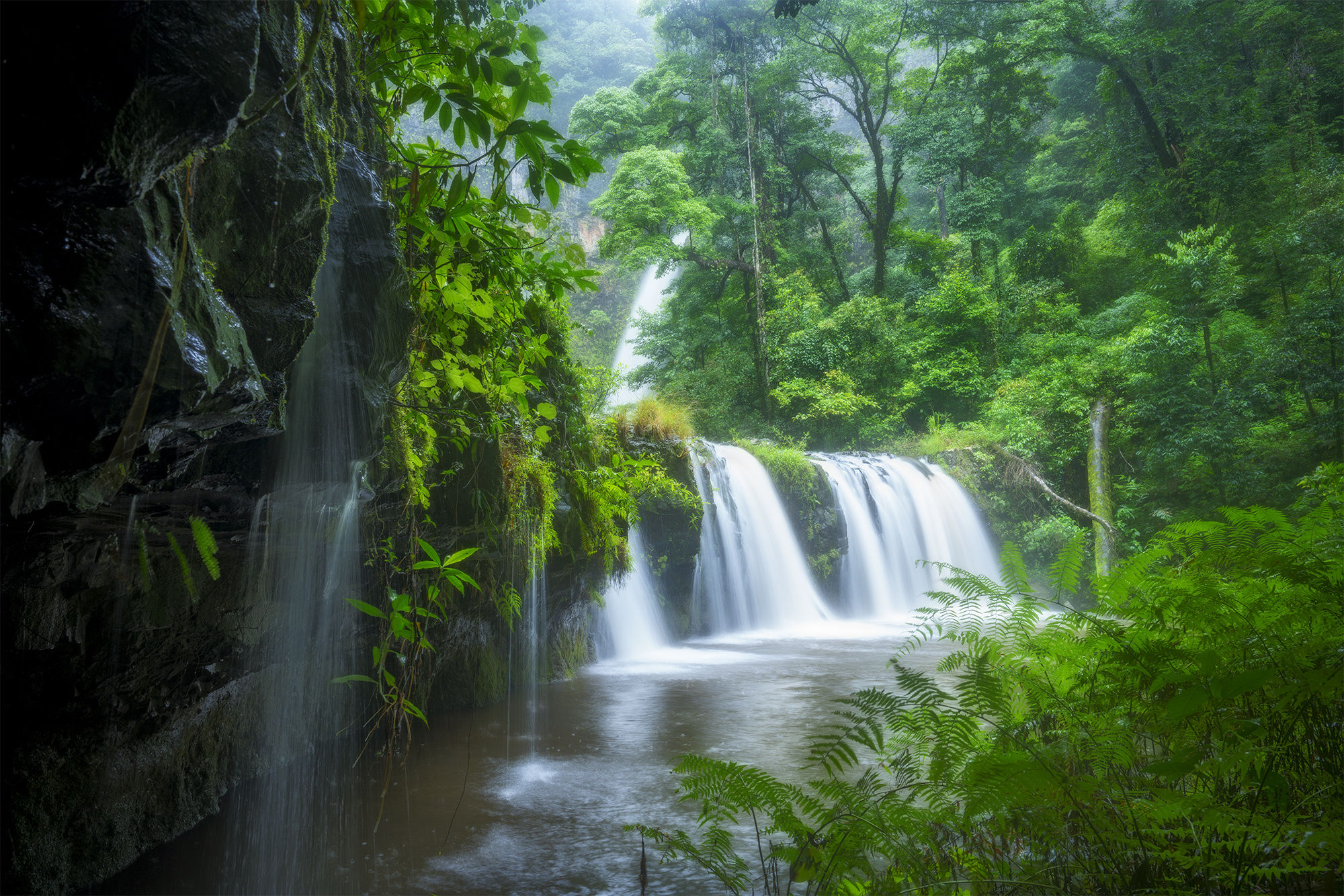 Waterfall Nature Forest Rock Fern 2000x1334