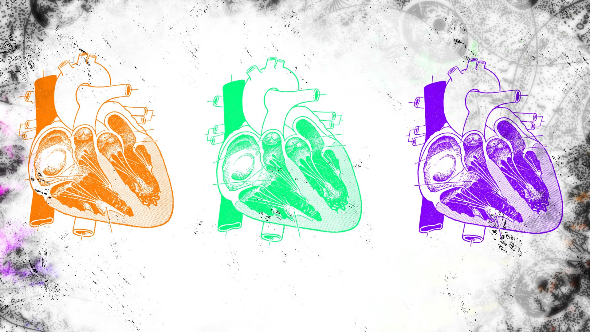 Heart Colorful Medicine Science Artwork Digital Art 1920x1080