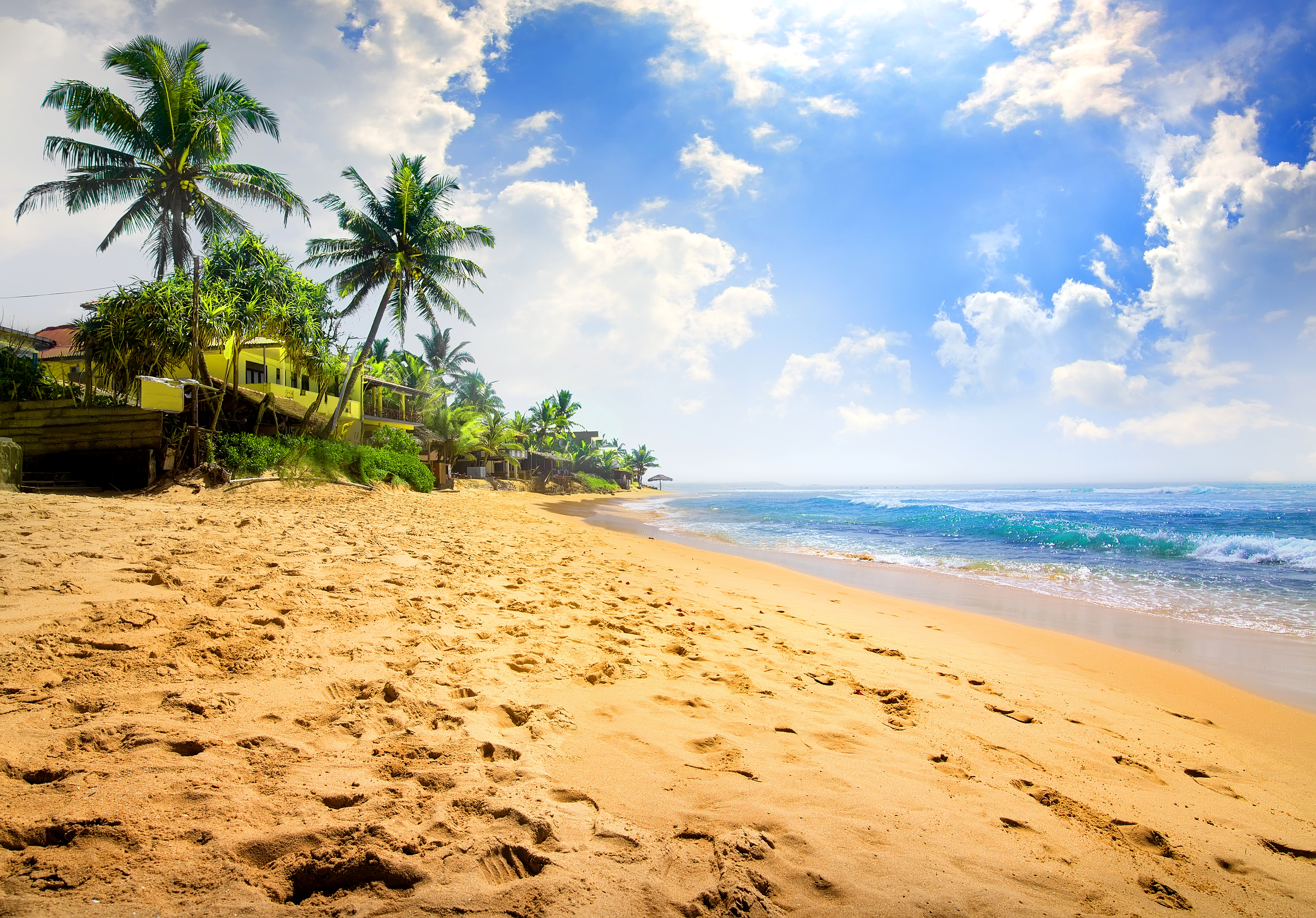 Beach Sand Ocean Sea Tropical Palm Tree Horizon 4500x3140