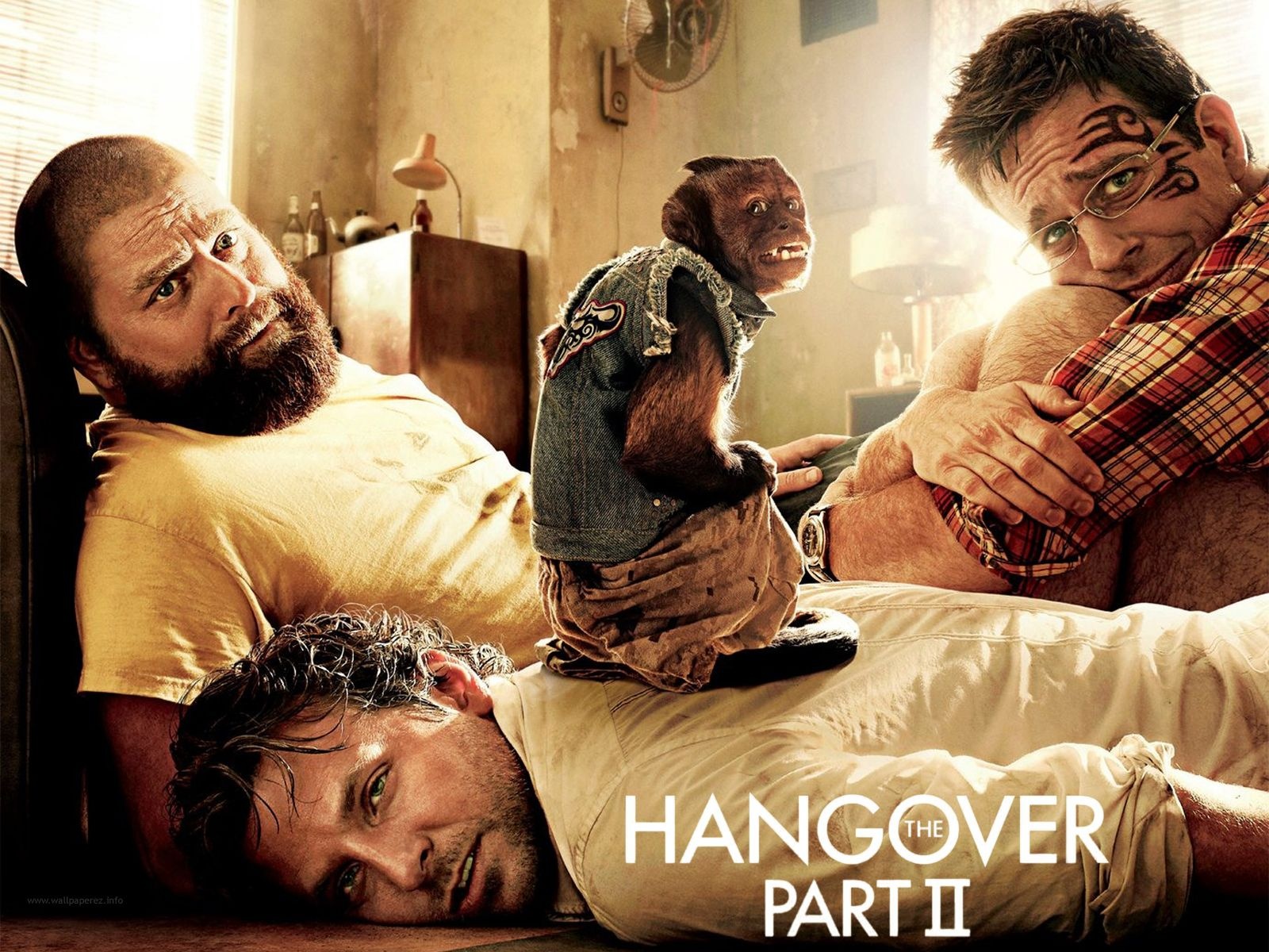 Bradley Cooper Zach Galifianakis Ed Helms 1600x1200