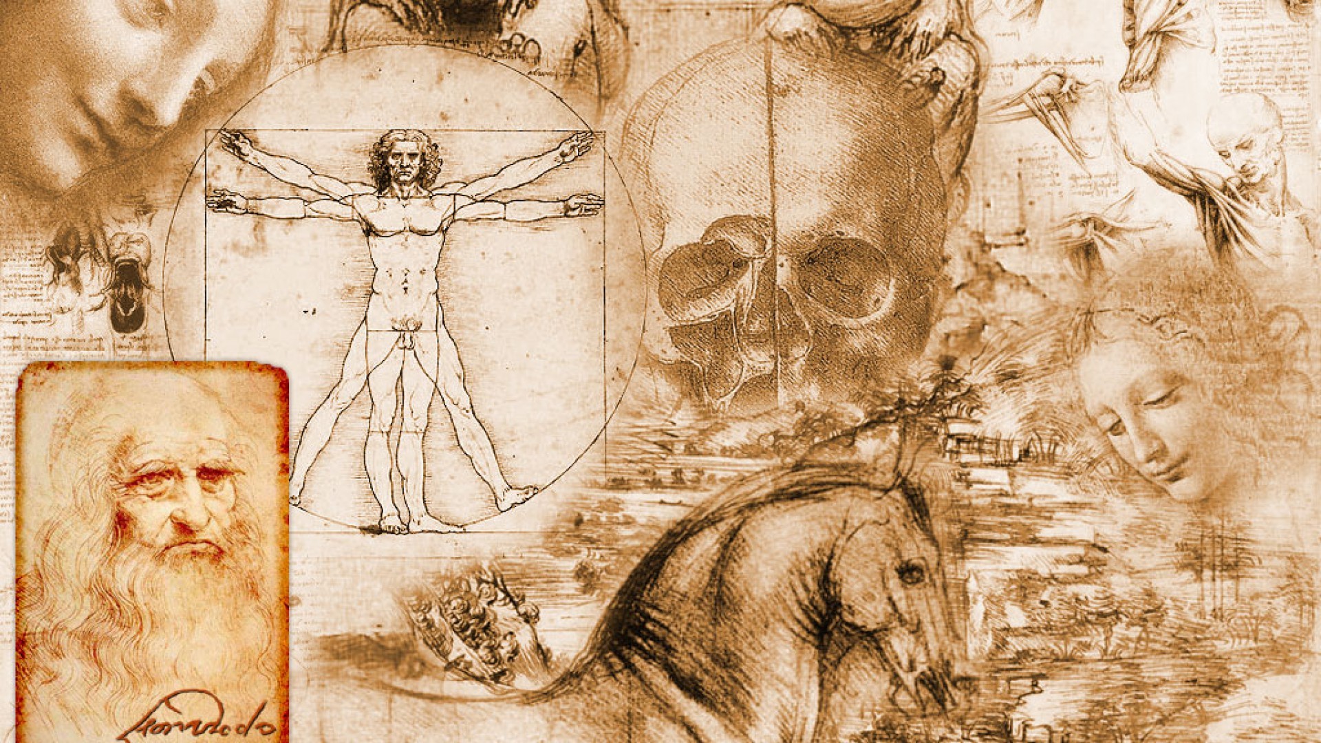 Leonardo Da Vinci Vitruvian Man Artwork Collage Science 1920x1080