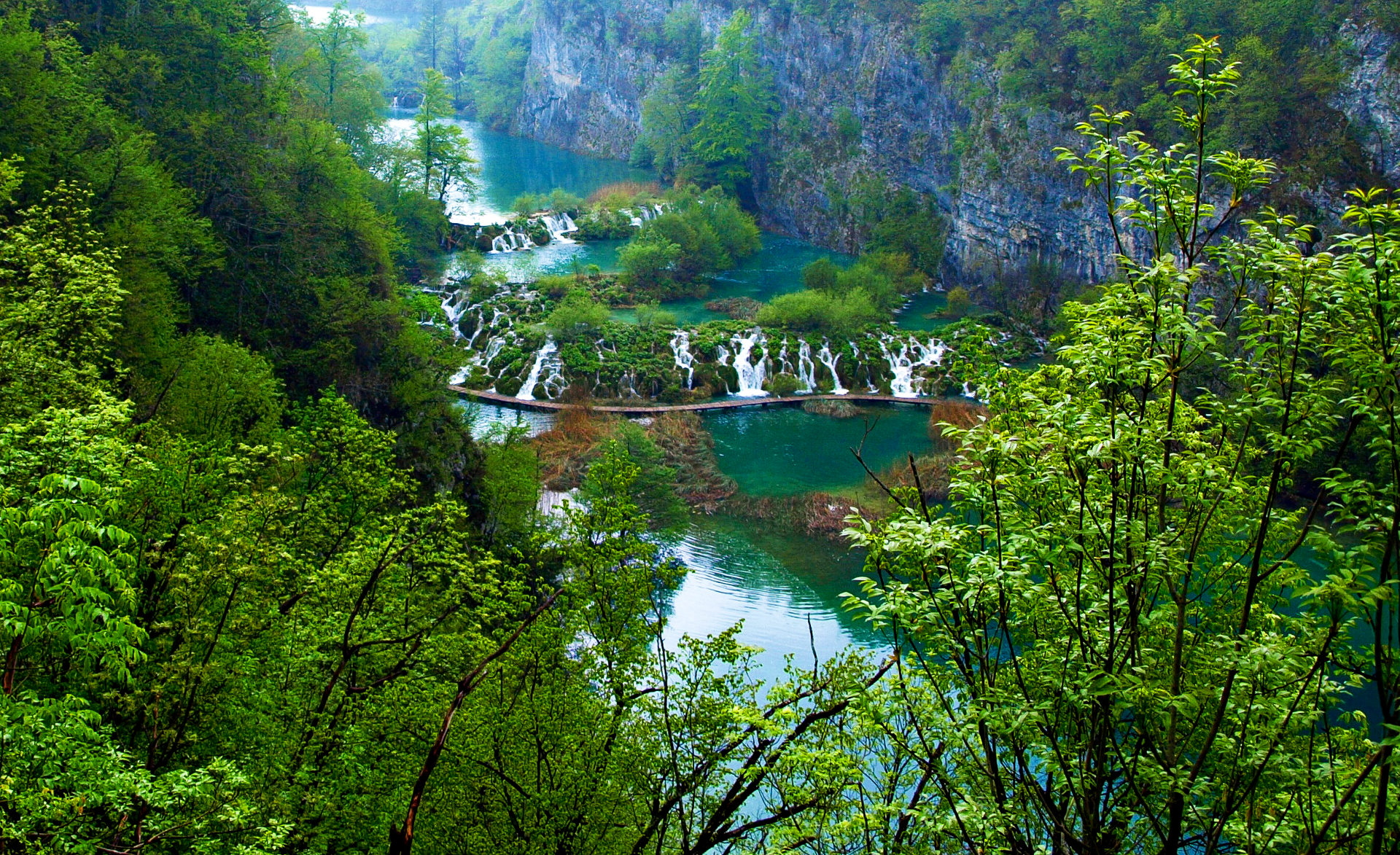 Earth Waterfall Tree Green Lake Plitvice Lakes National Park 1920x1173