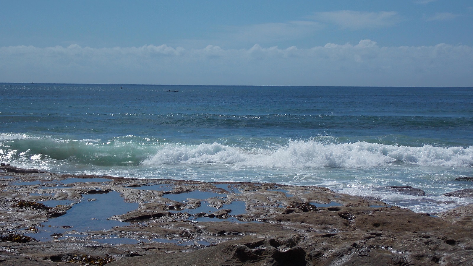 Ocean Rock Wave Beach Water Cronulla Australia Coast Horizon Seascape 1600x900