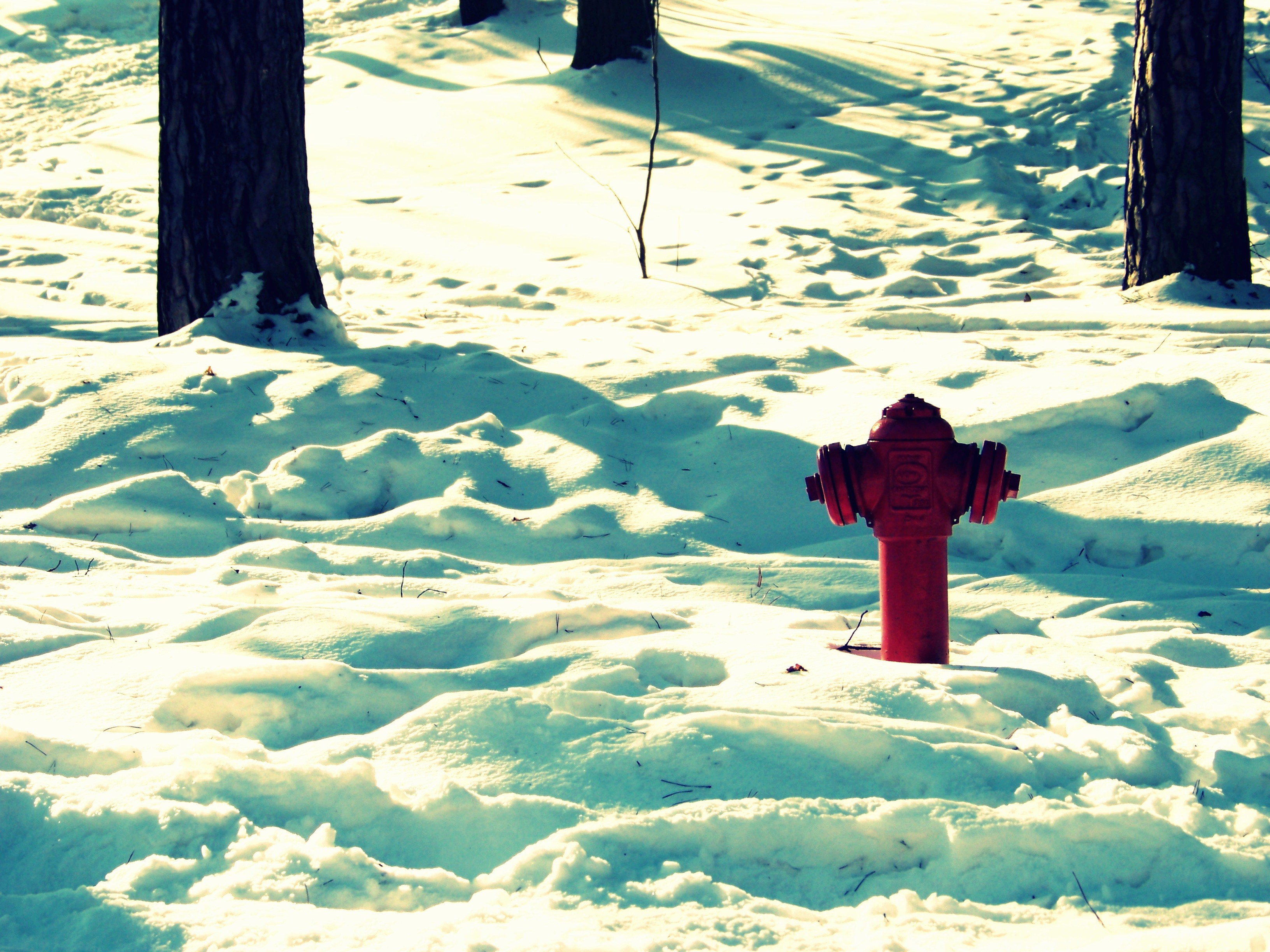 Snow Outdoors Sunlight Fire Hydrants 3264x2448