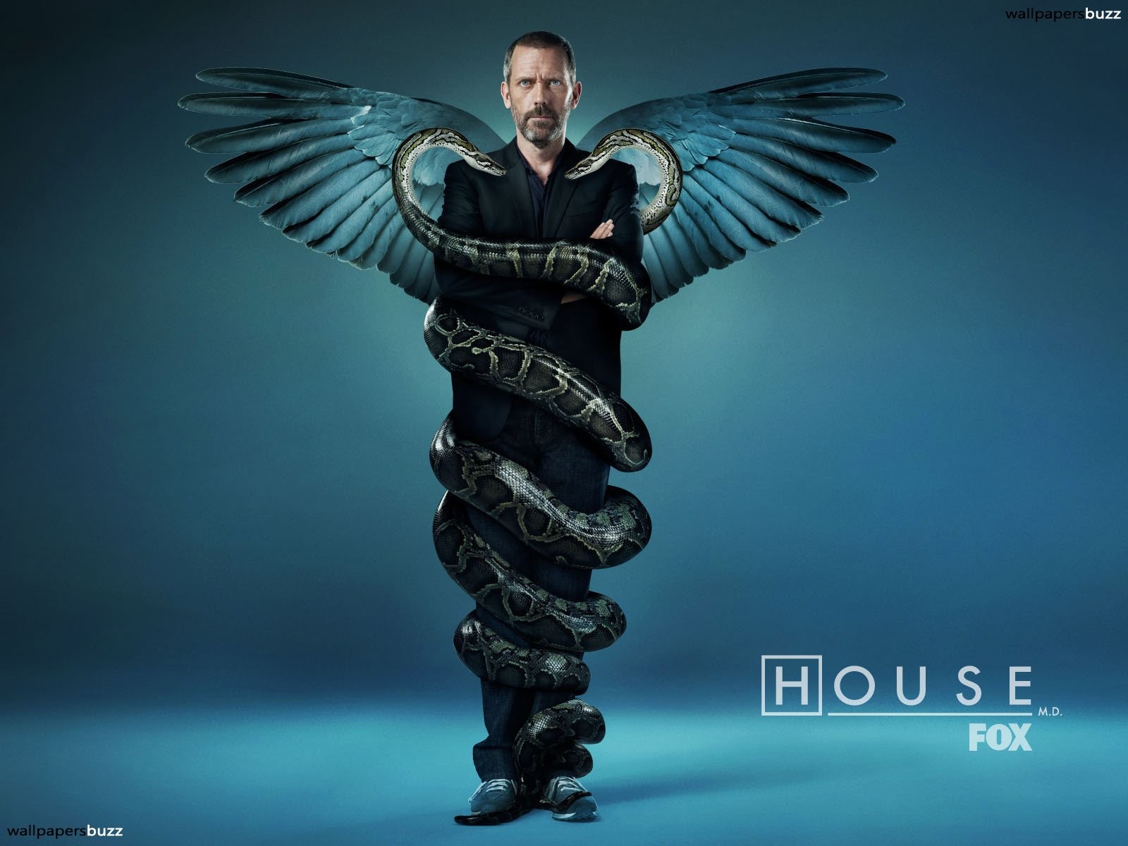 House M D Gregory House TV 1600x1200