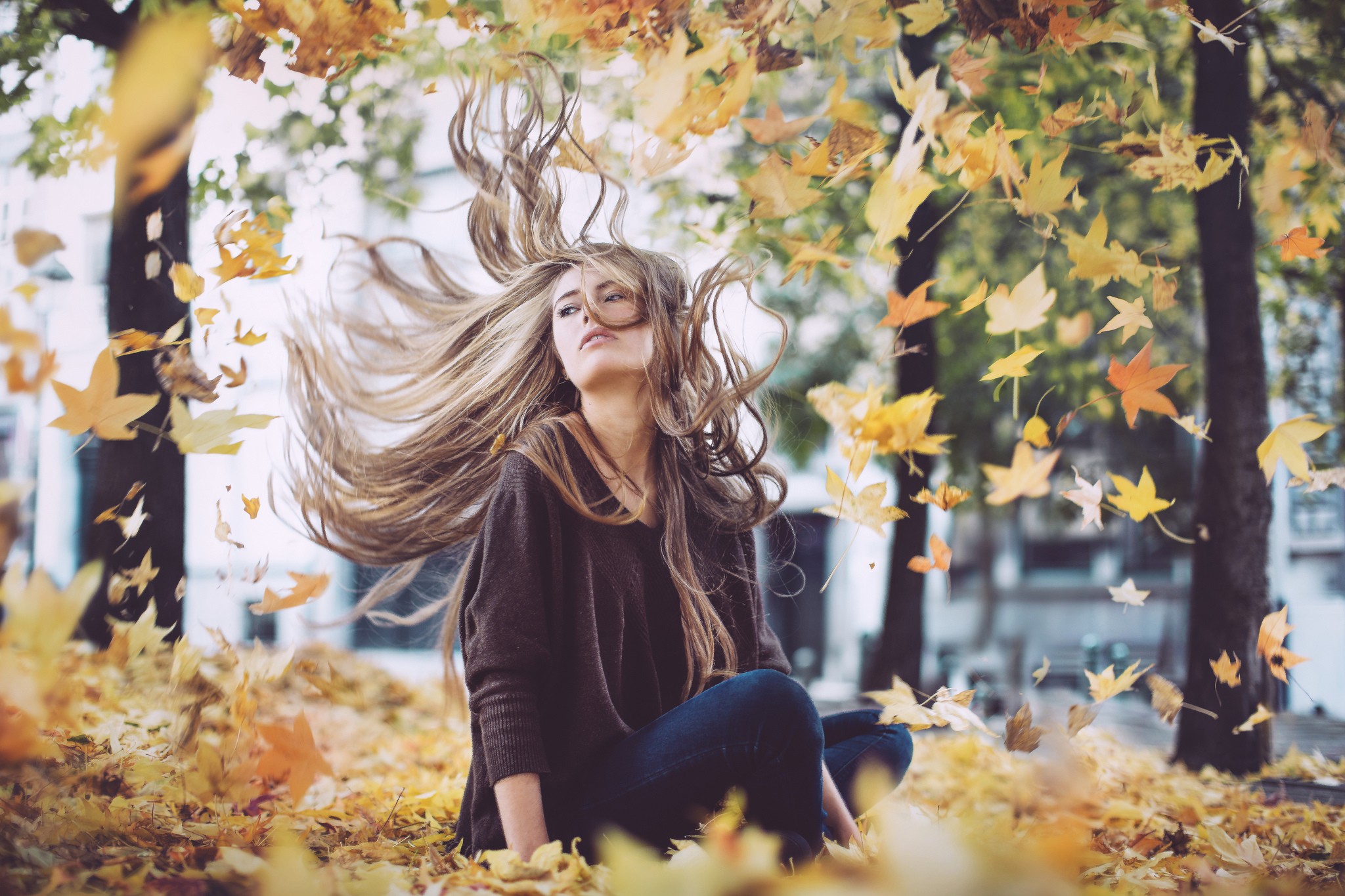 Women Brunette Women Outdoors Leaves Fall Windy Long Hair Camille Rochette Hair Blowing In The Wind  2048x1365