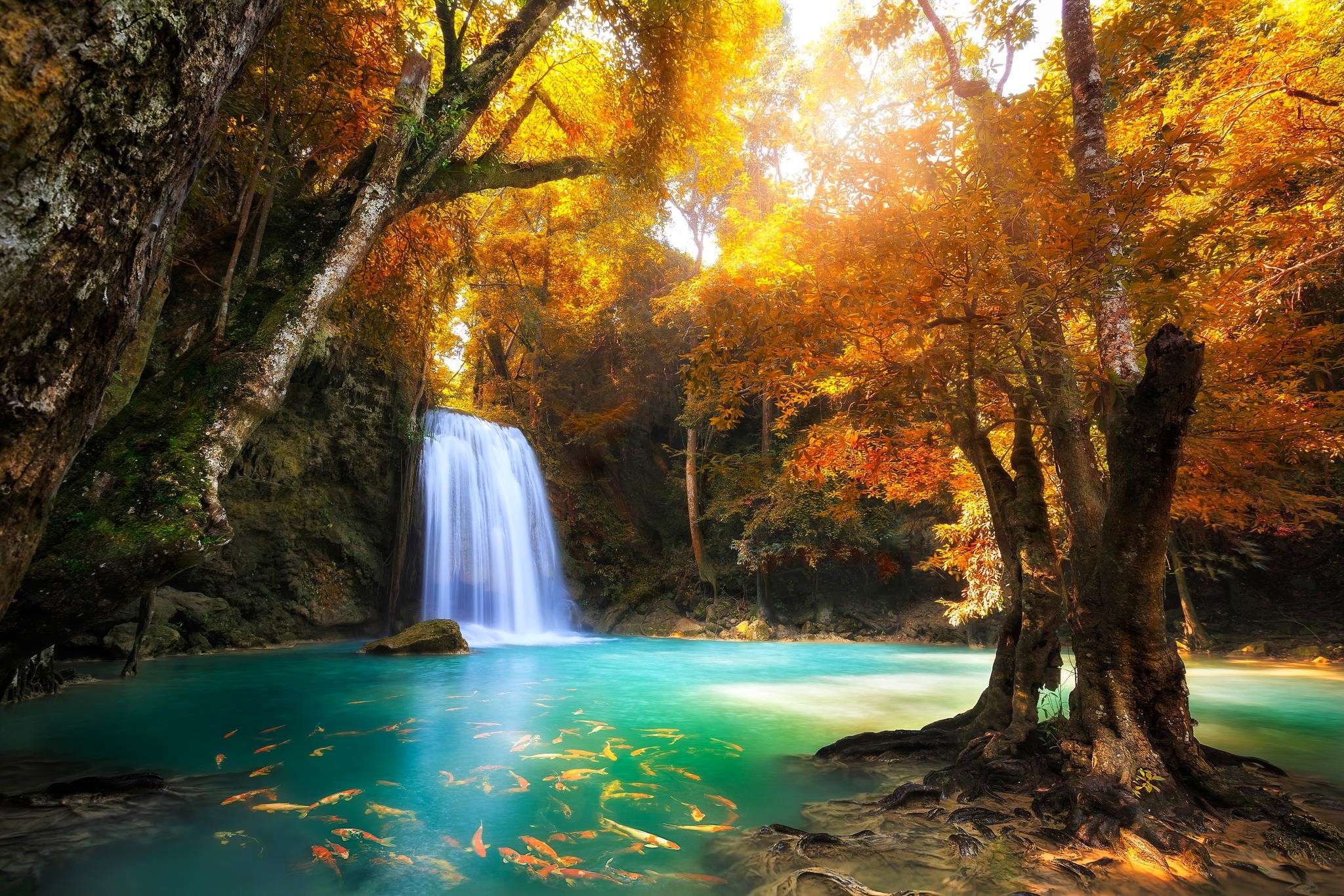 Waterfall Erawan Waterfall Thailand Forest Tree Fall Foliage Fish Pond Turquoise Tropical Nature 2048x1365