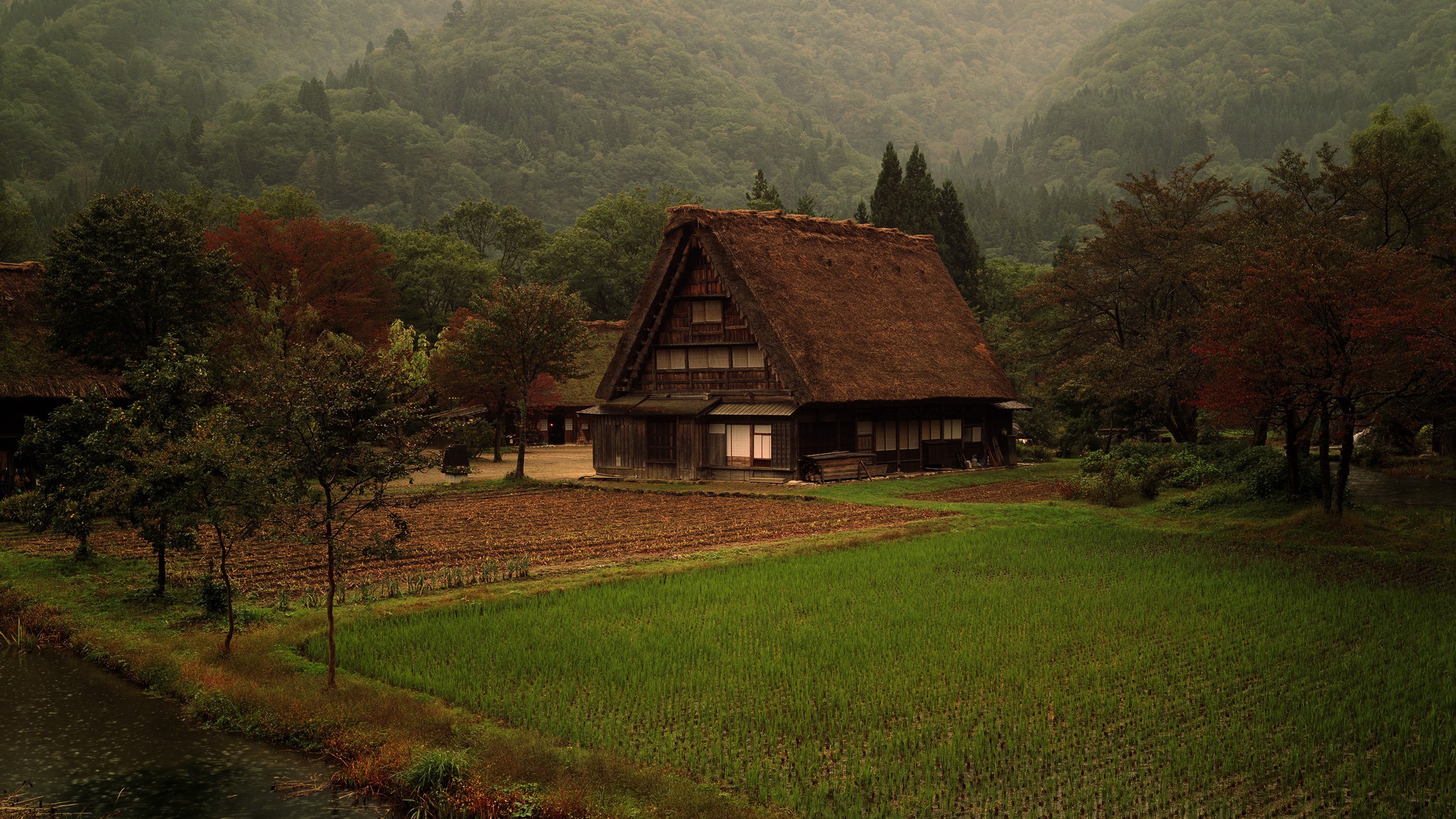 Nature Farm House Field Forest 2560x1440