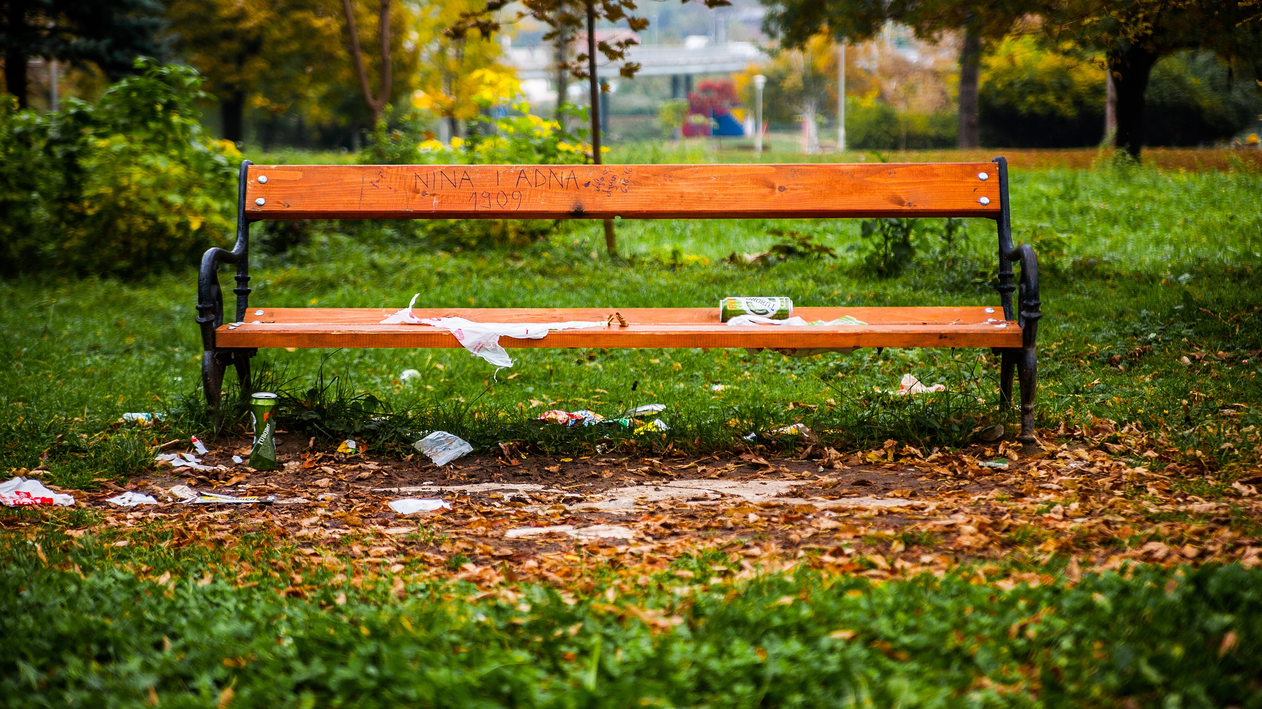 Park Bench Grass Green Bosnia 2560x1440