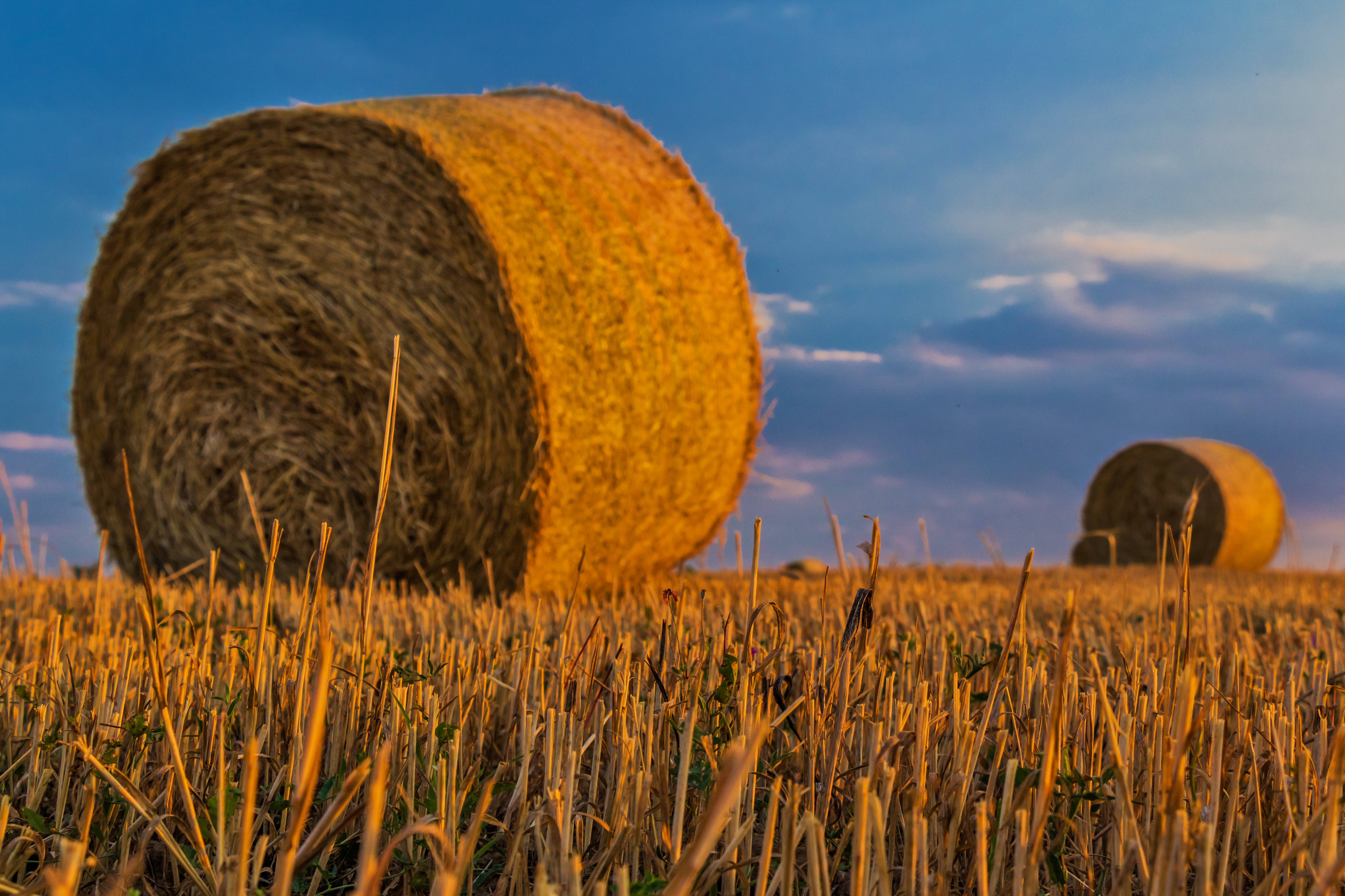 Haystack Nature Summer Field 6013x4008