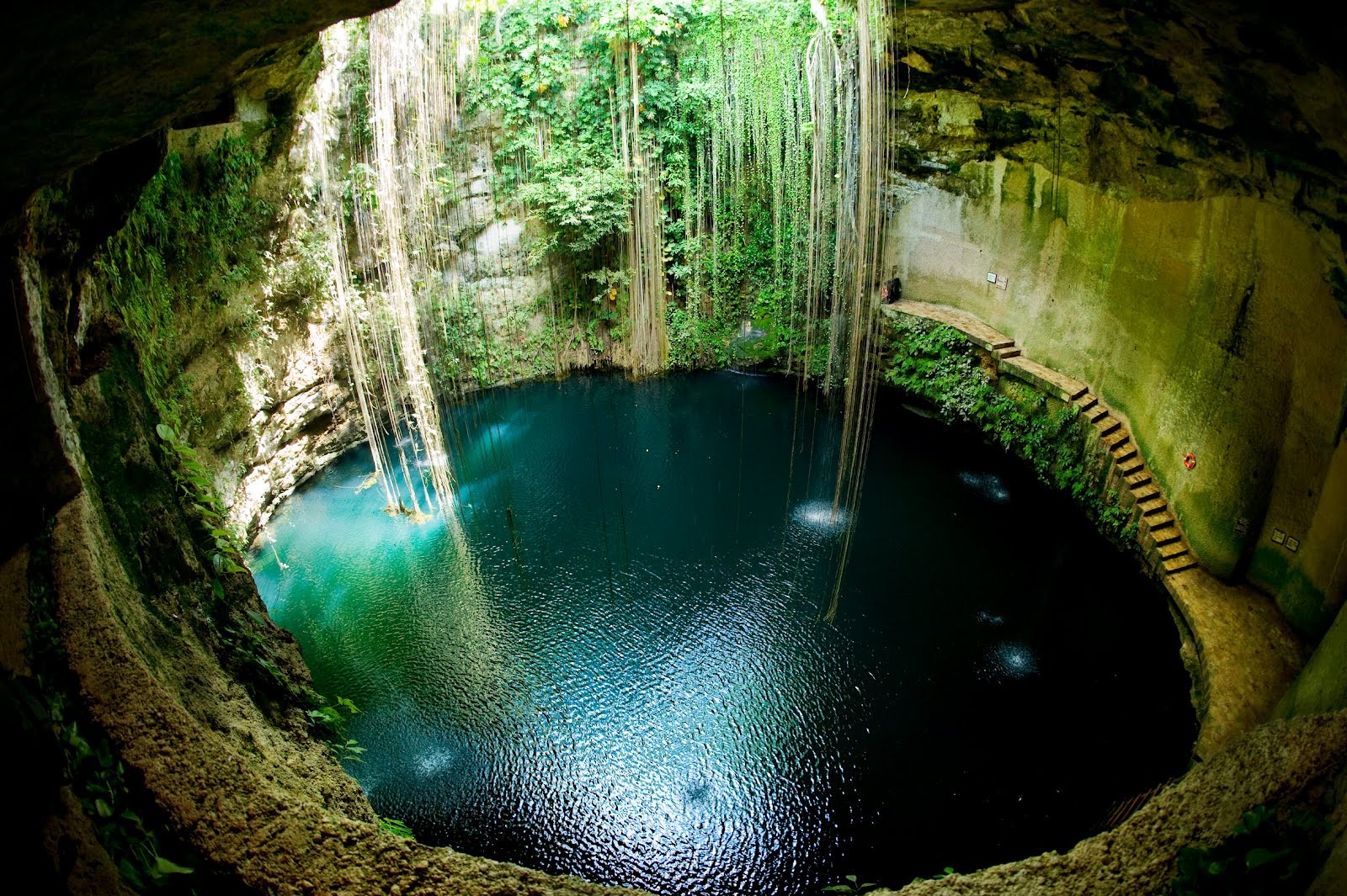 Cenotes Pit Mexico Water Circle Cave Scuba Diving Nature Landscape Lianas 1600x1065