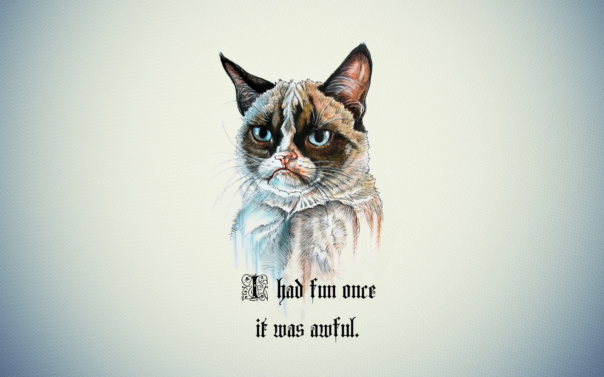 Quote Cartoon Grumpy Cat Animals Simple Background Humor Typography 1920x1200
