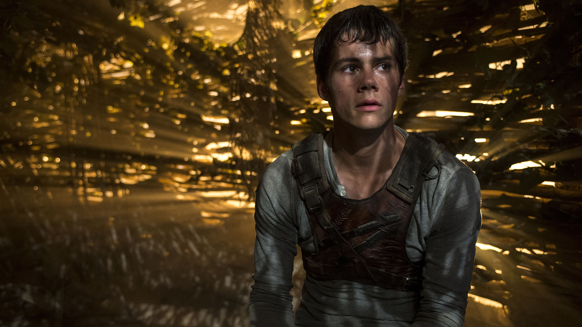 Movie The Maze Runner 1920x1080