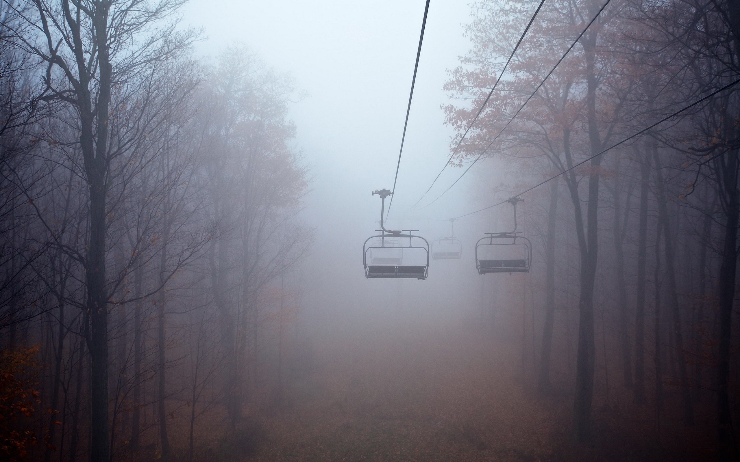 Mist Trees Landscape Forest Aspen Cable Cars Fall 2560x1600