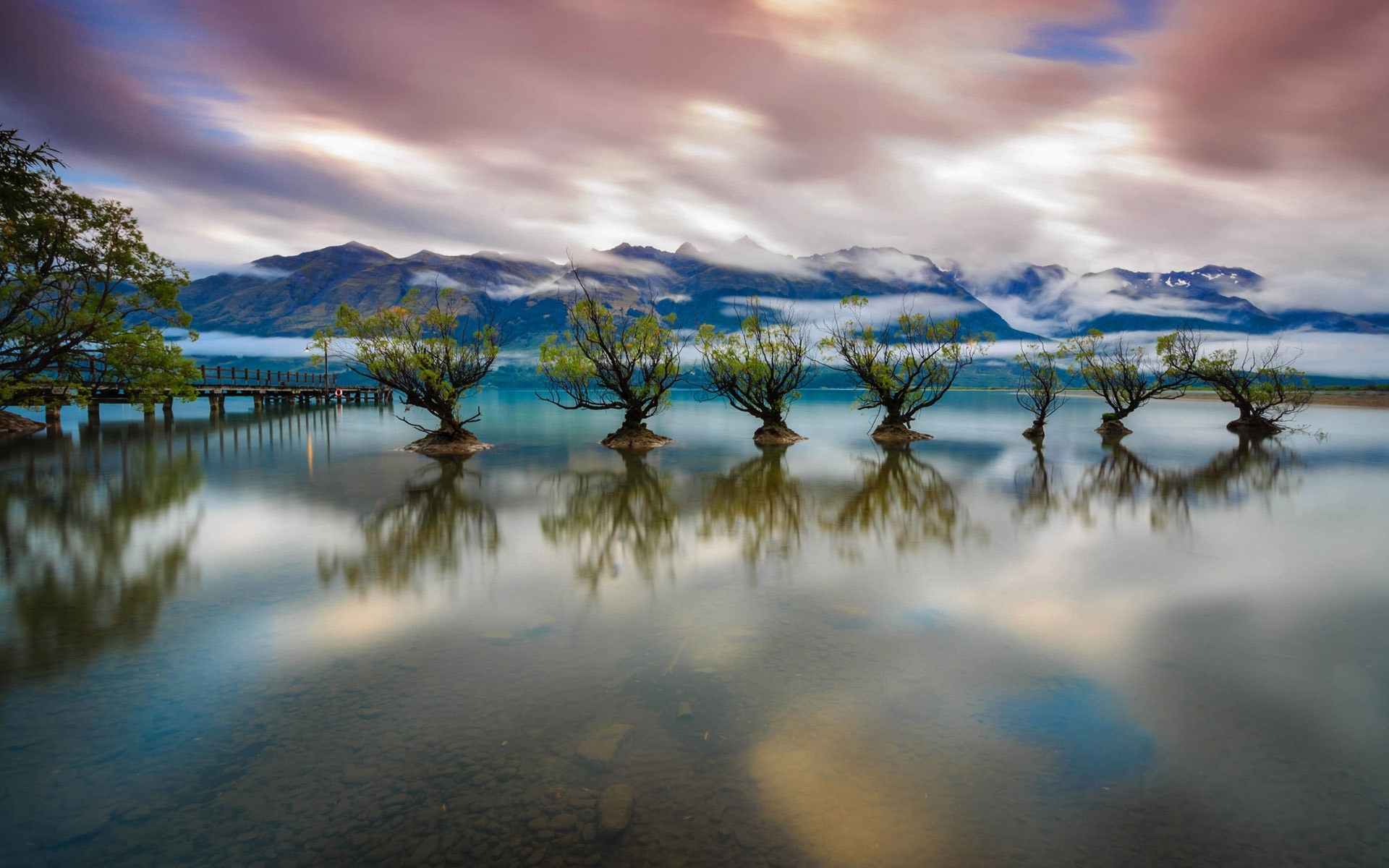 Earth Lake Lake Wakatipu New Zealand Tree Reflection 1920x1200