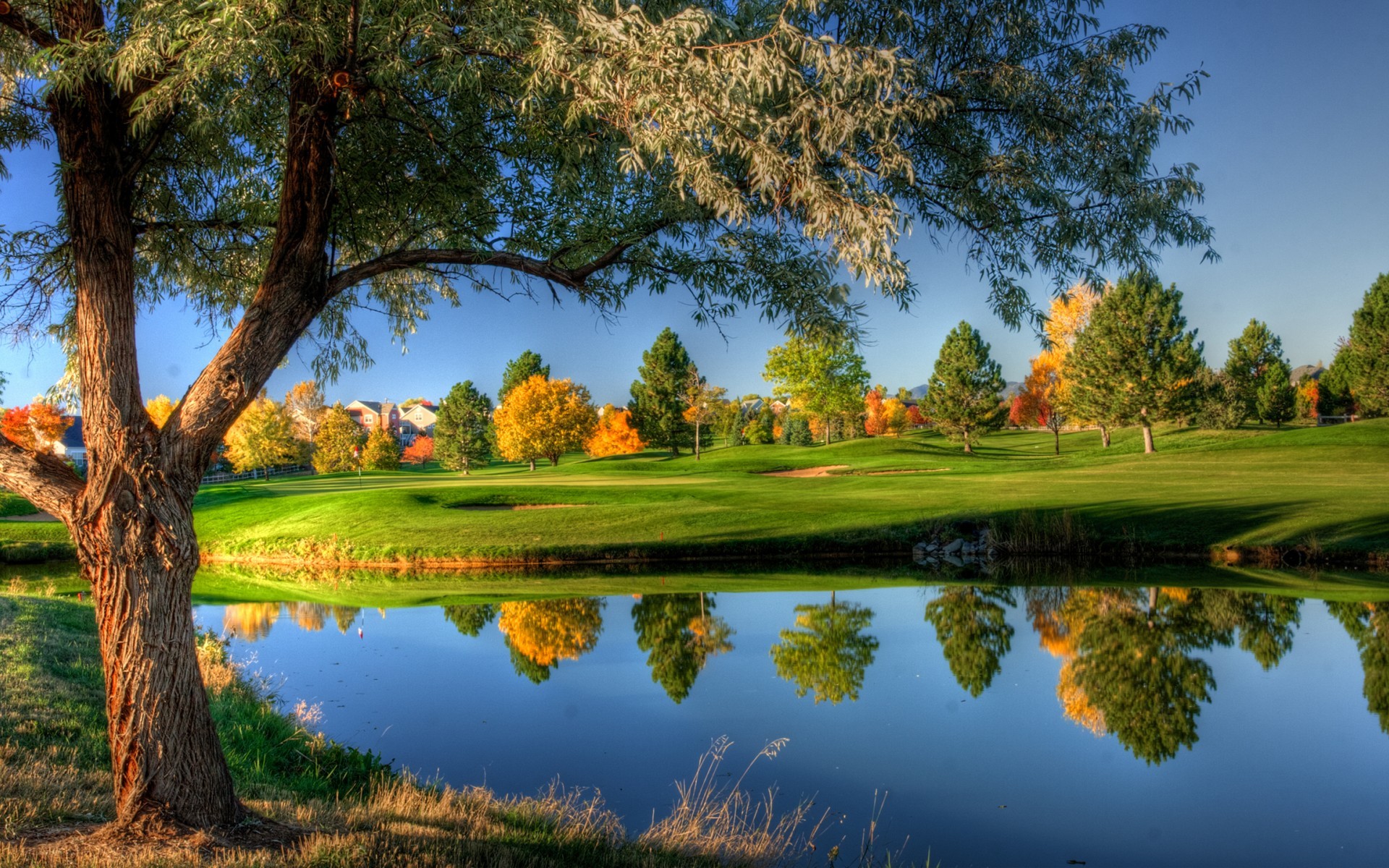 Landscape Trees Golf Course 1920x1200
