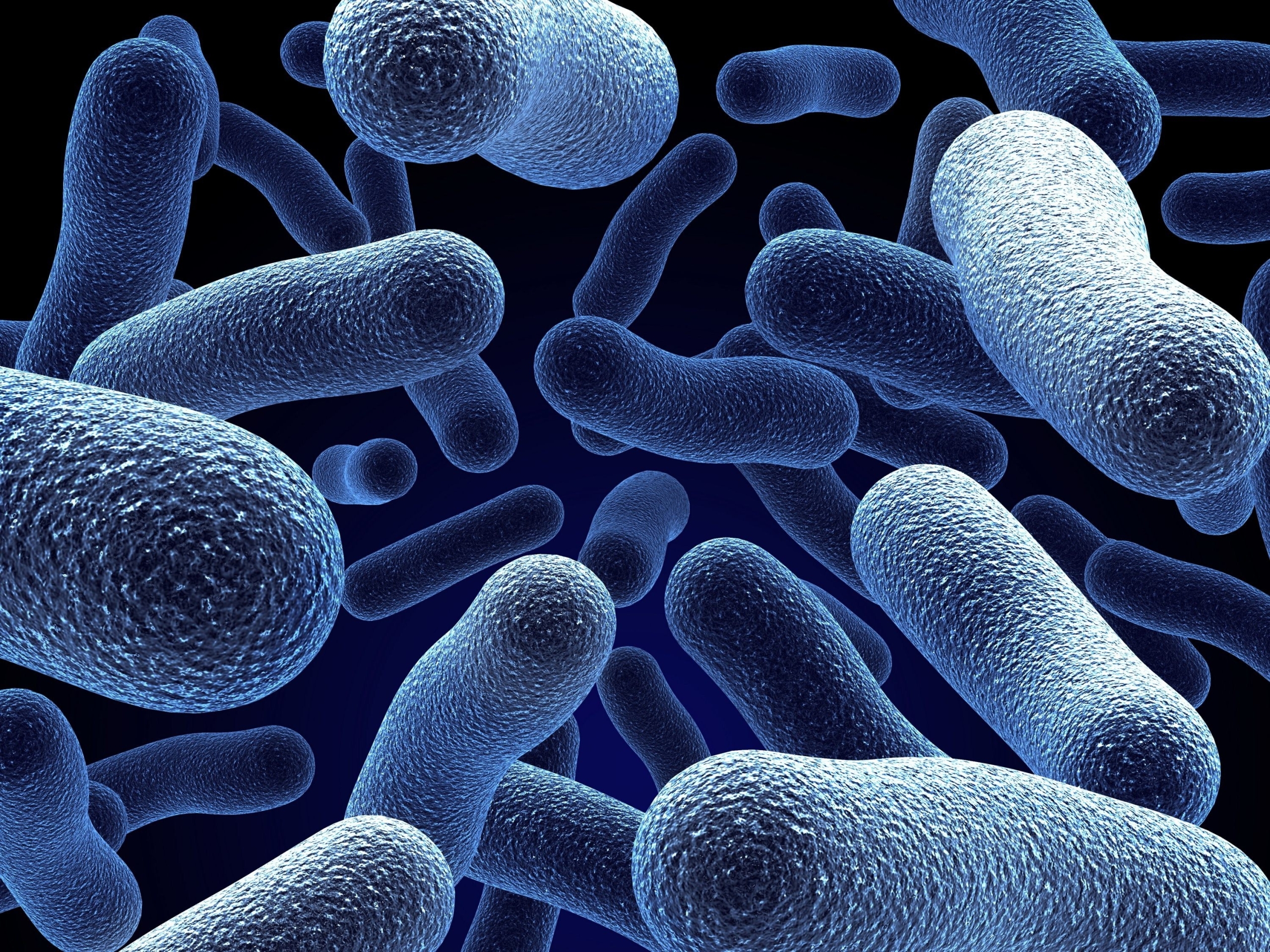 Bacteria Artwork Blue Digital Art 2560x1920