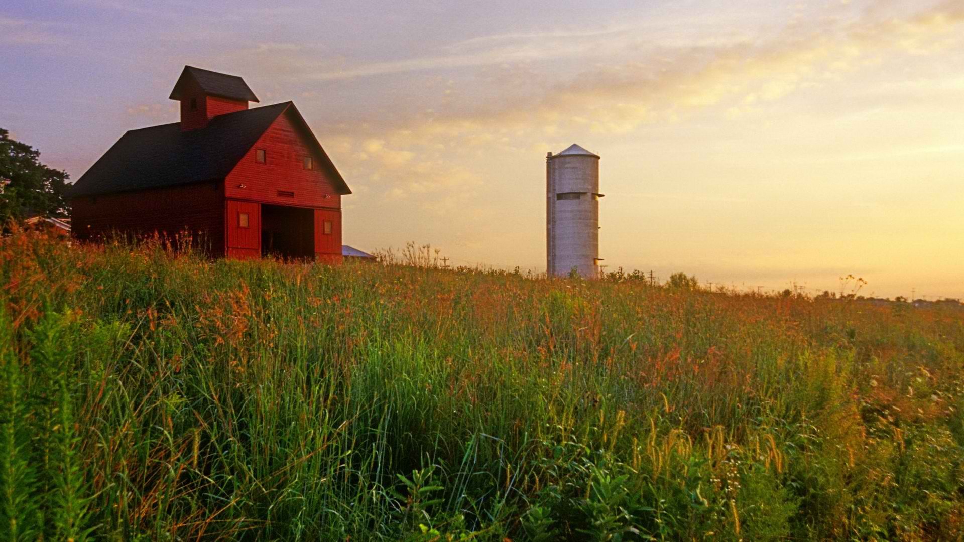 Man Made Barn 1920x1080