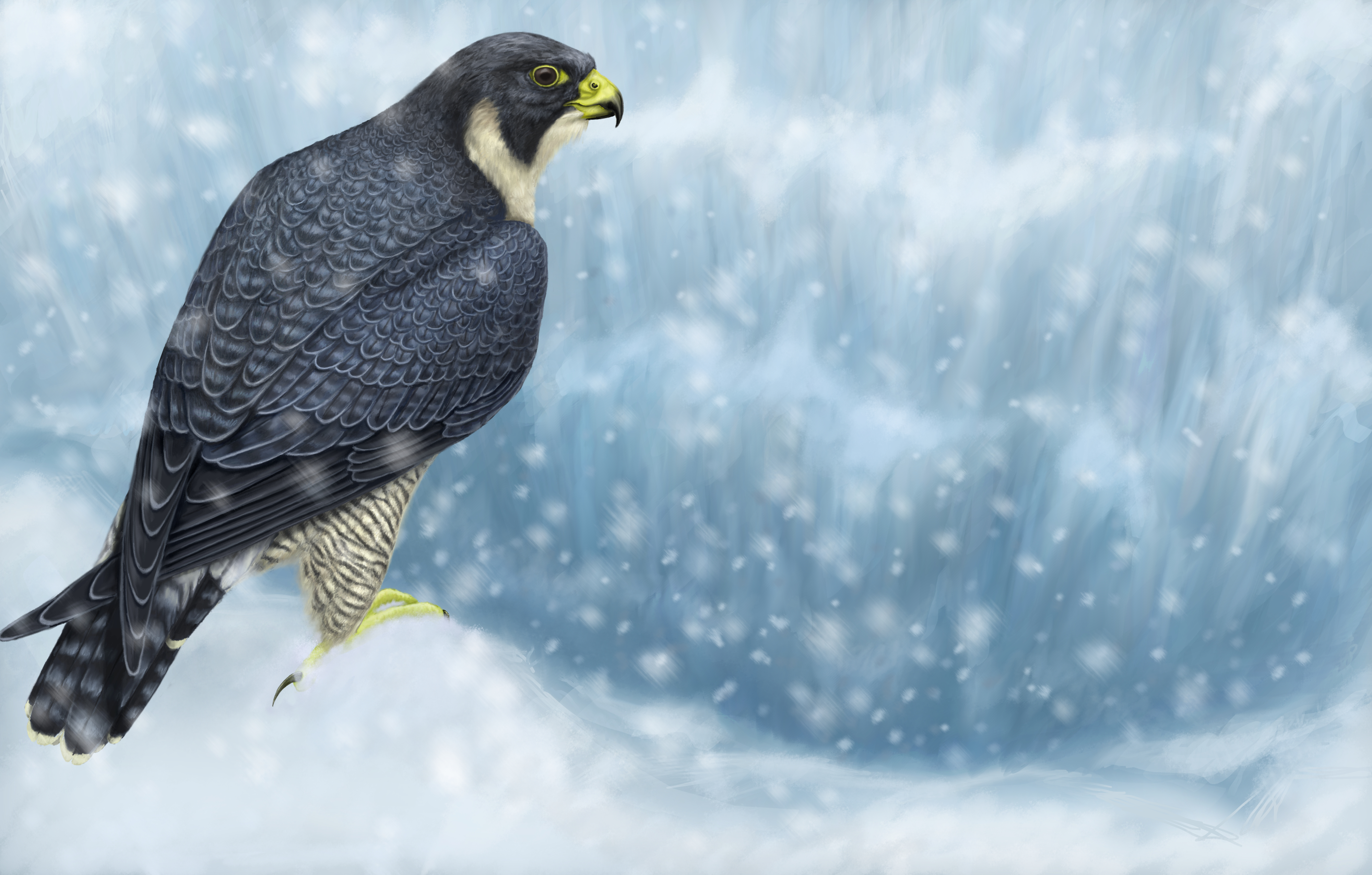 Falcon Marvel Comics Peregrine Falcon Bird Bird Of Prey Snow Winter Snowfall 4000x2550