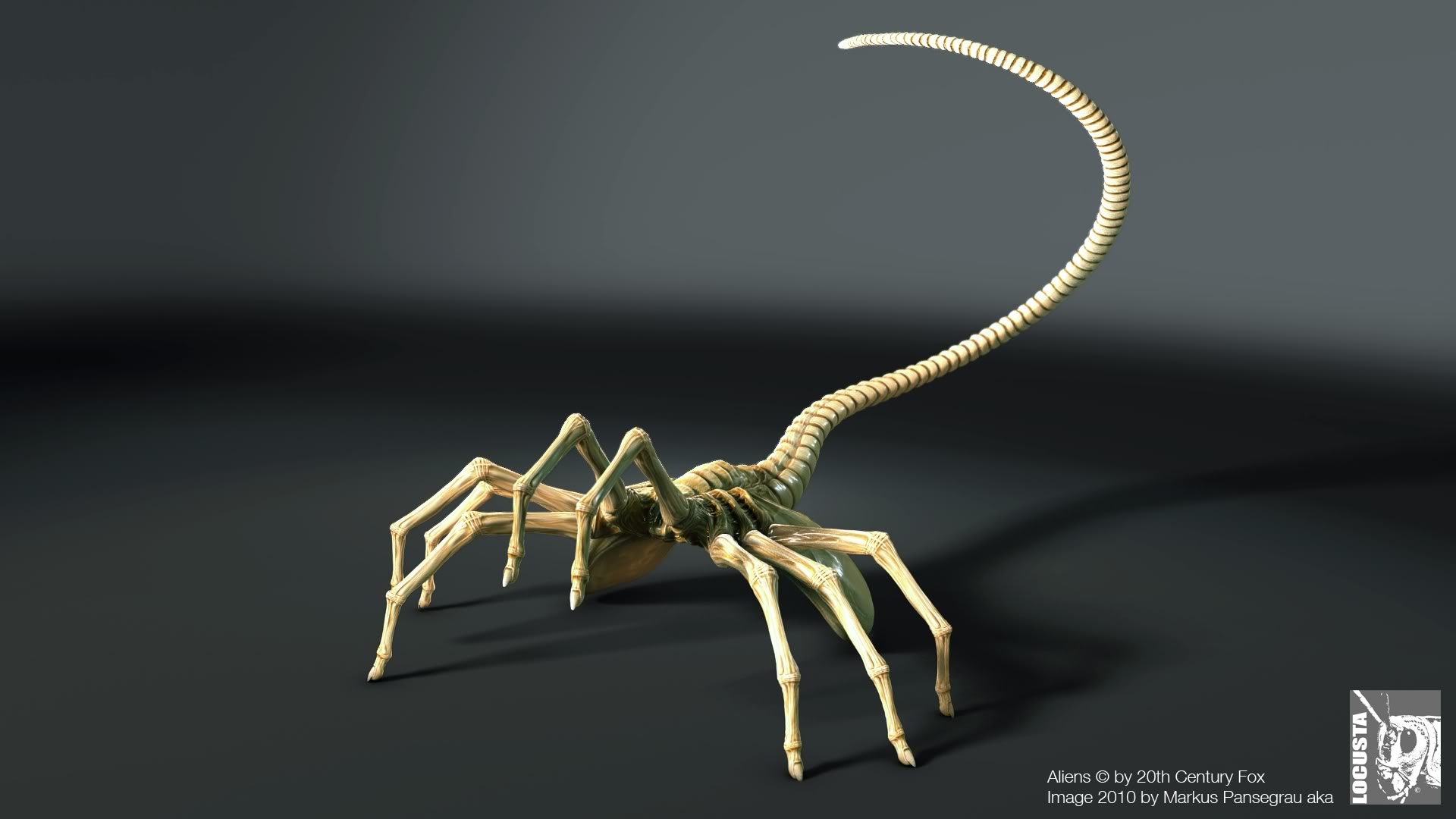 Creature Alien Facehugger 1920x1080