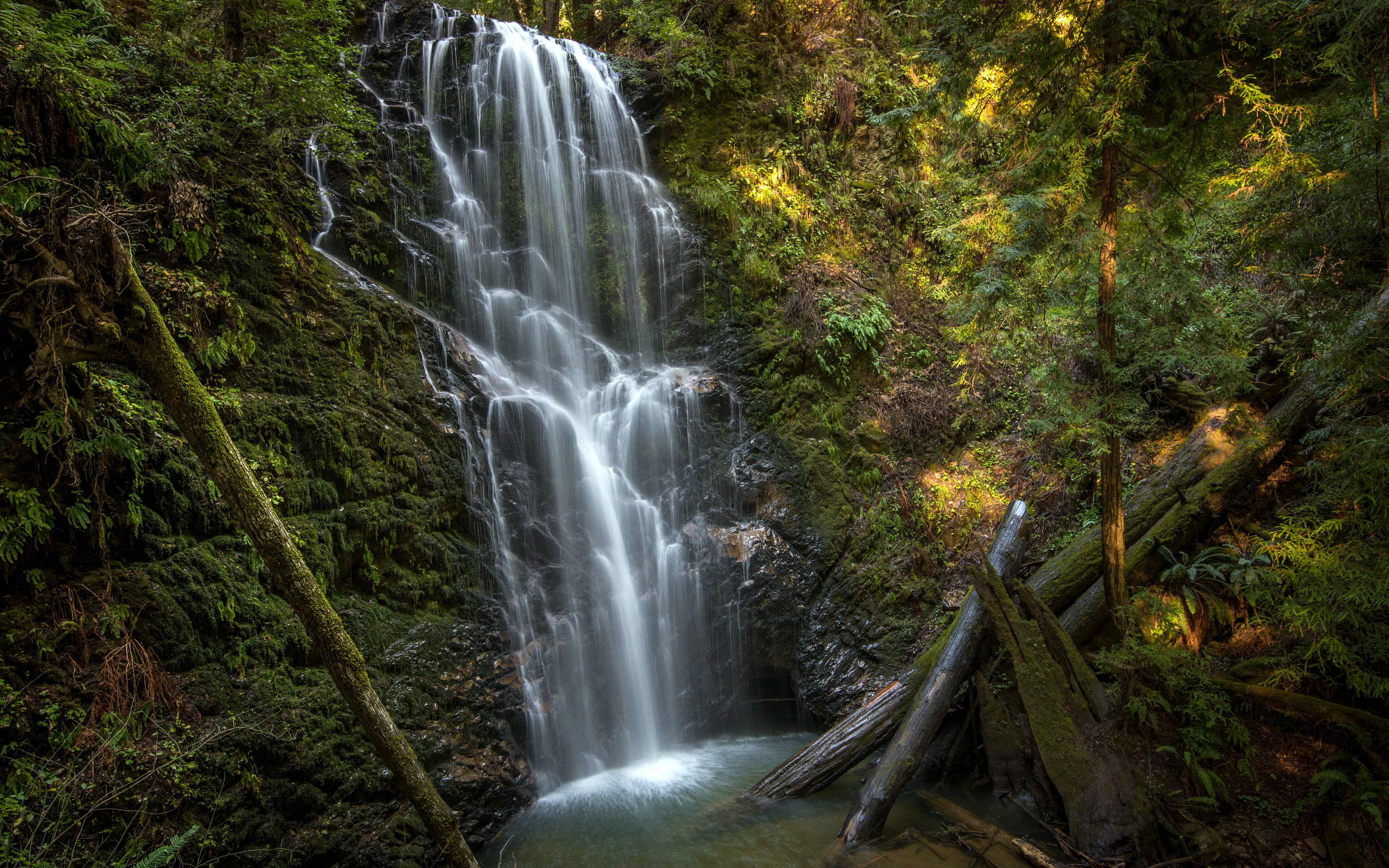 Stem Water Vegetation Park California Nature Waterfall 3840x2400