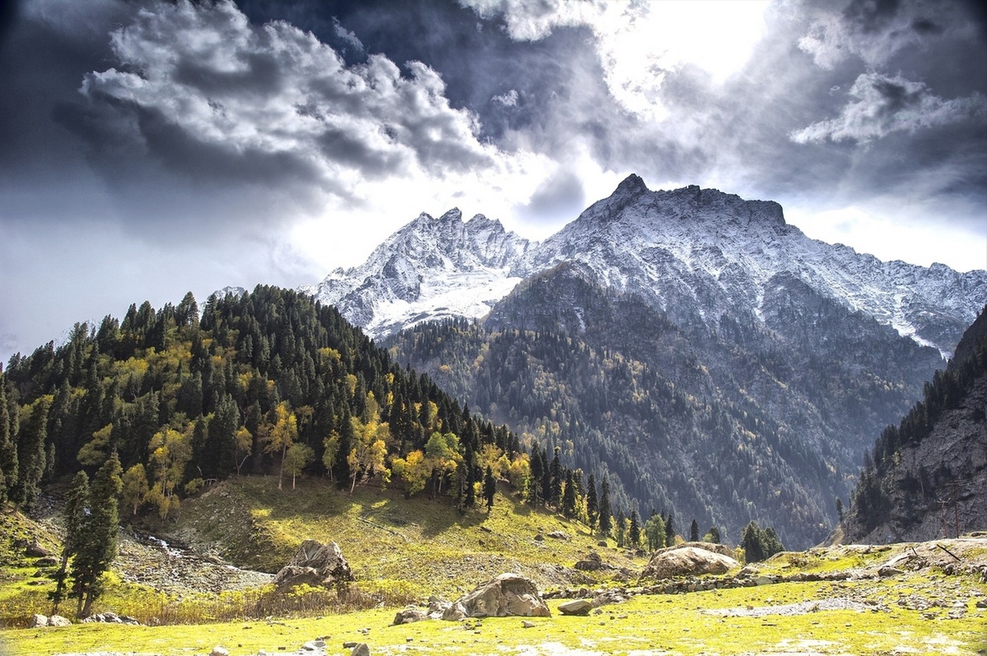 Fall Mountains Forest Clouds Snowy Peak Trees Kashmir Grass Nature Landscape 1400x931