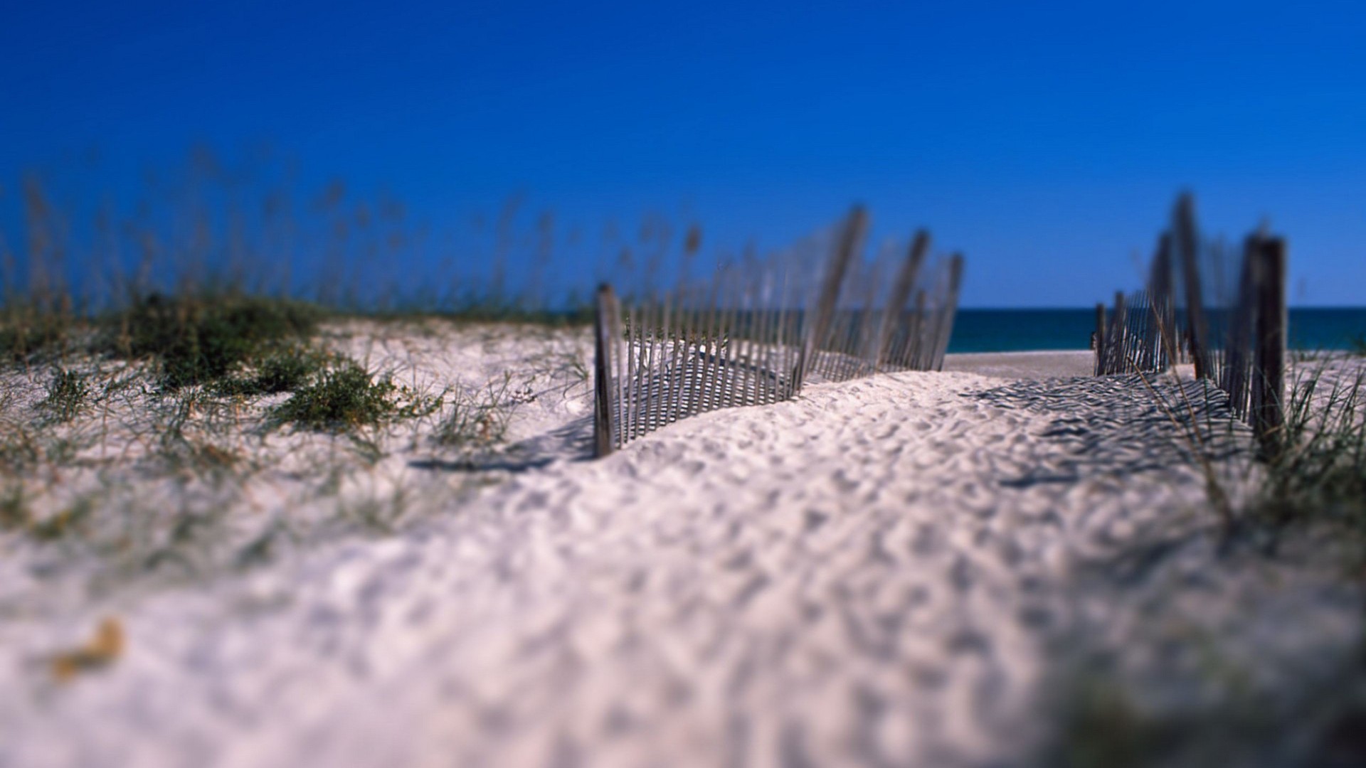 Landscape Beach Sand Path Wood Fence 1920x1080