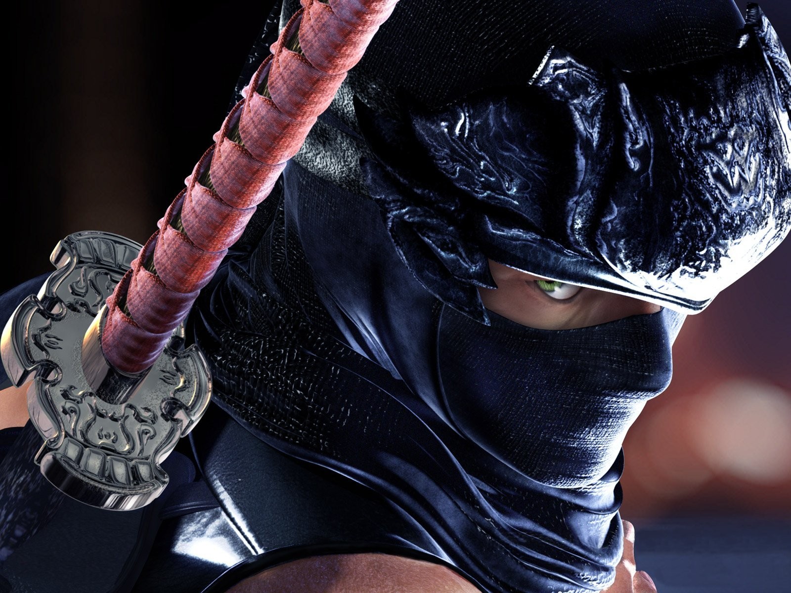 Video Games Ninja Gaiden Ninjas Hayabusa 1600x1200