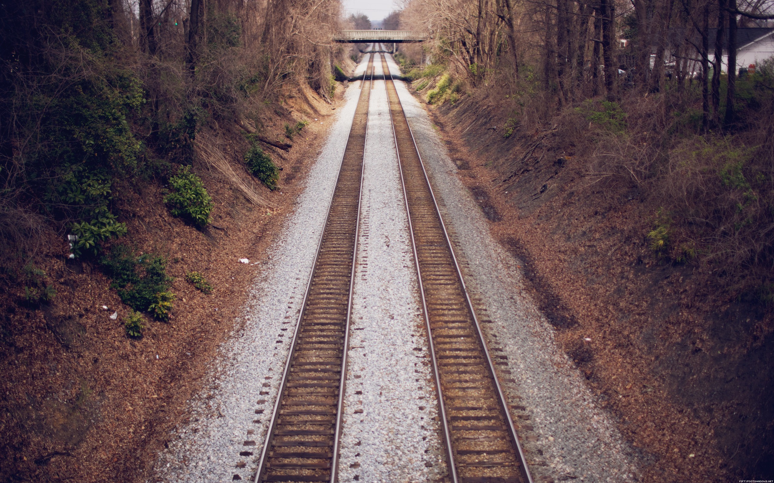 Railway Bridge Trees Parallel Landscape 2560x1600